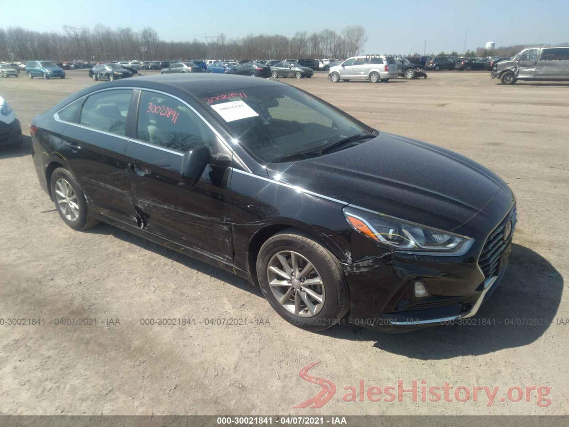 5NPE24AF4KH796364 2019 HYUNDAI SONATA