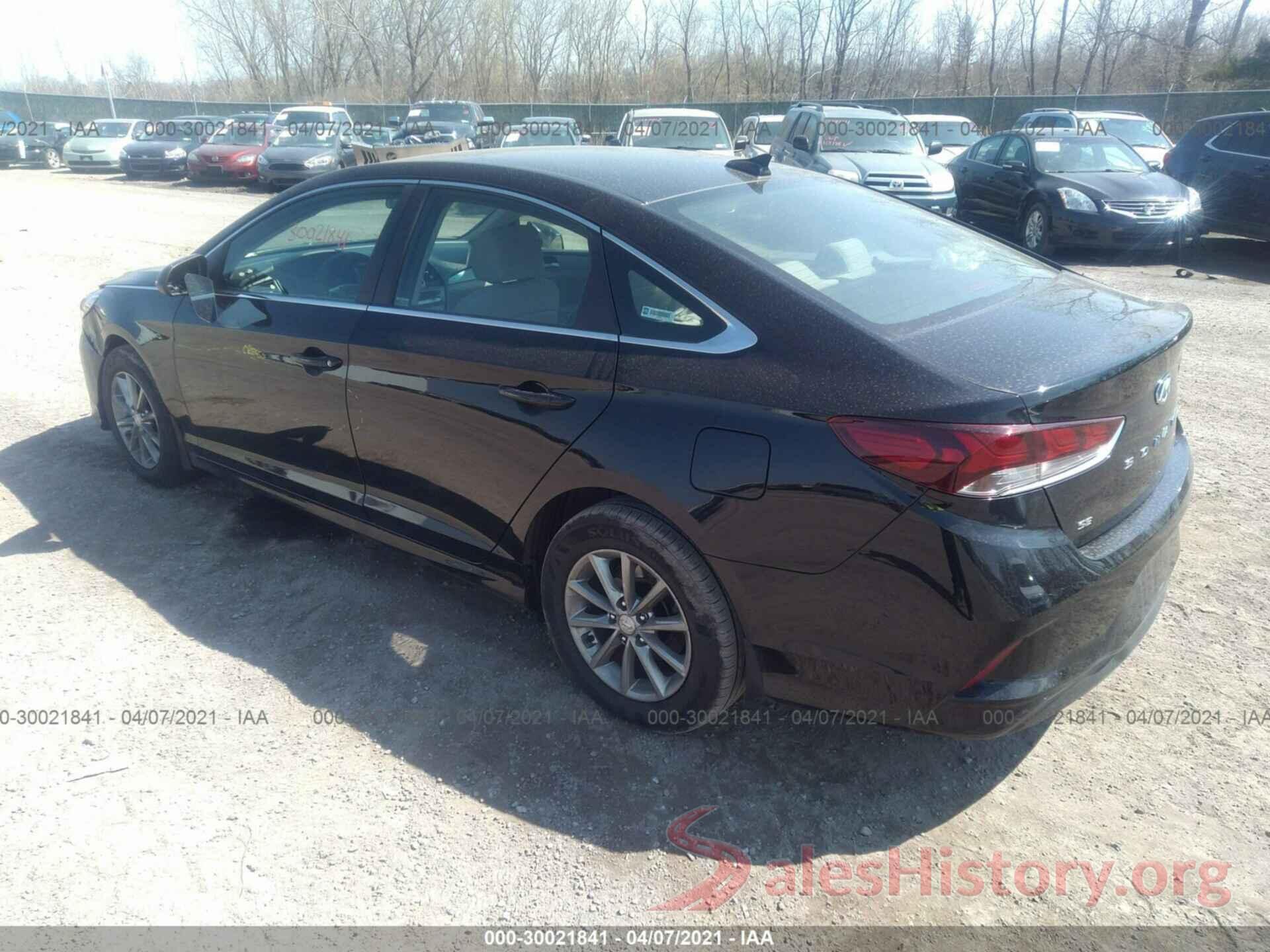 5NPE24AF4KH796364 2019 HYUNDAI SONATA