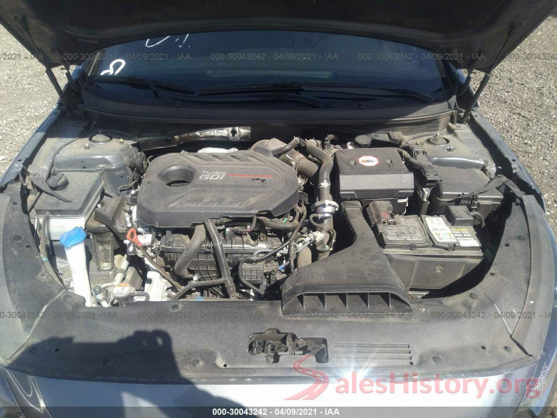 5NPE34AB9KH767811 2019 HYUNDAI SONATA