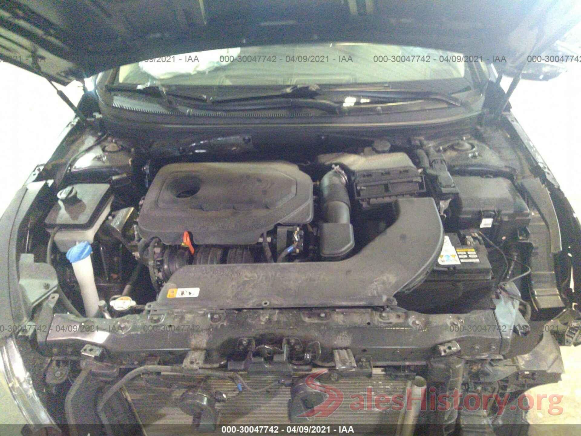 5NPE24AF7HH557223 2017 HYUNDAI SONATA