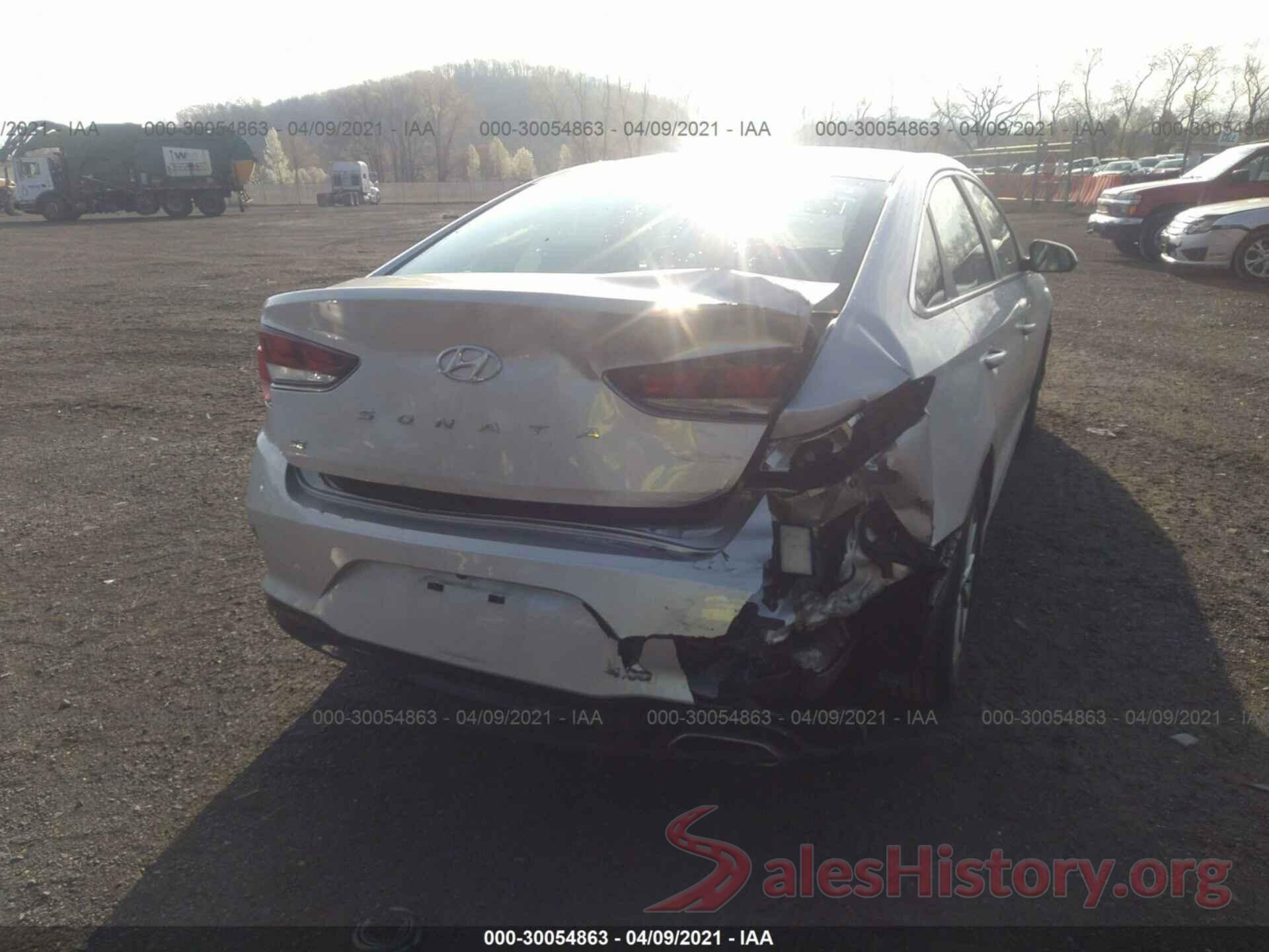 5NPE24AF9KH782296 2019 HYUNDAI SONATA