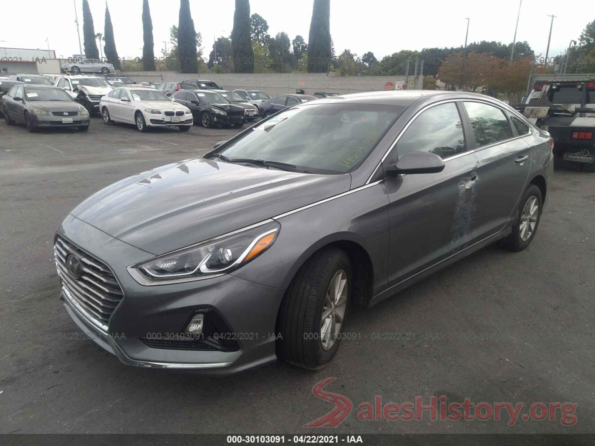 5NPE24AF0KH753902 2019 HYUNDAI SONATA