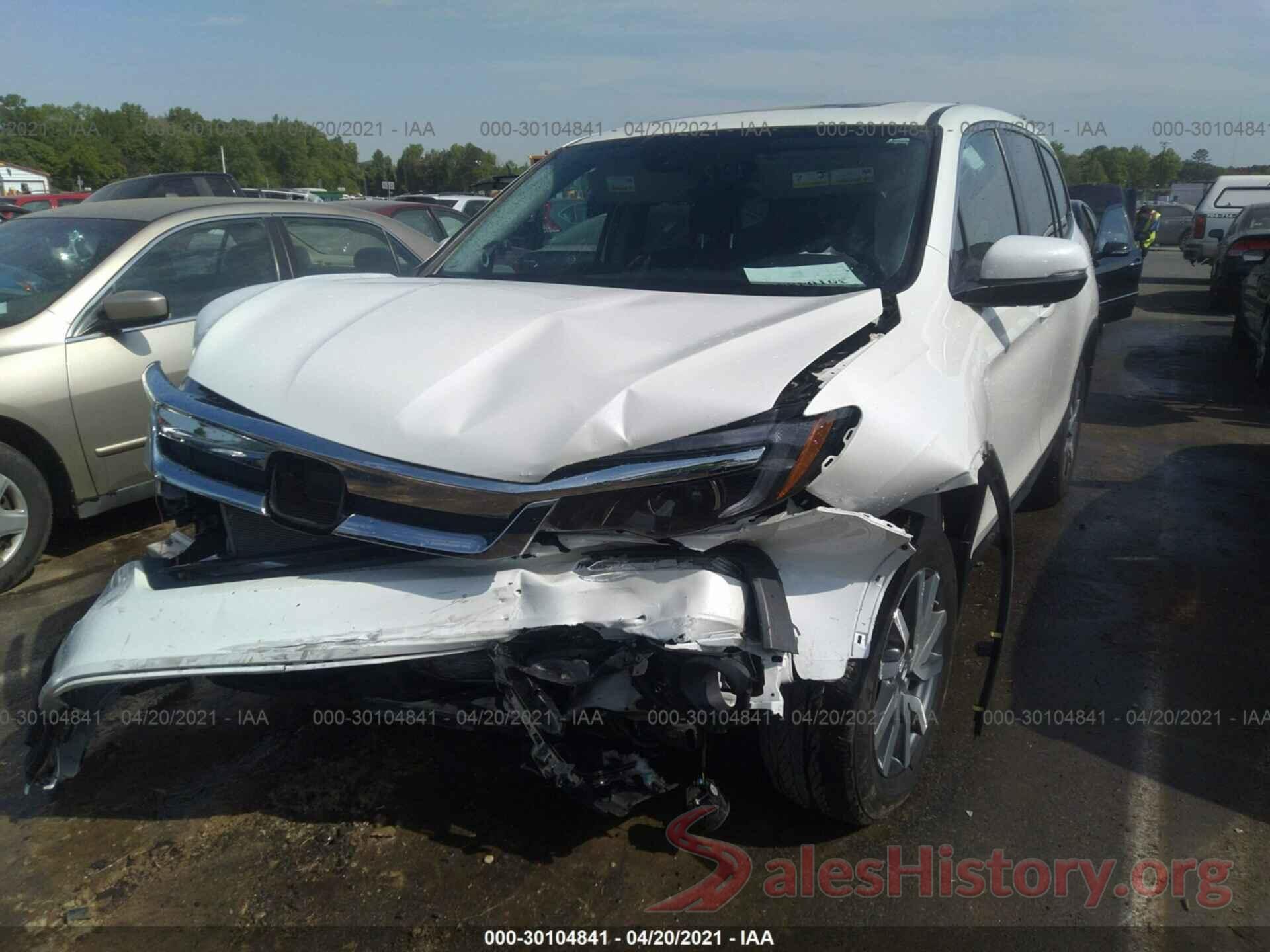 5FNYF5H54KB022344 2019 HONDA PILOT