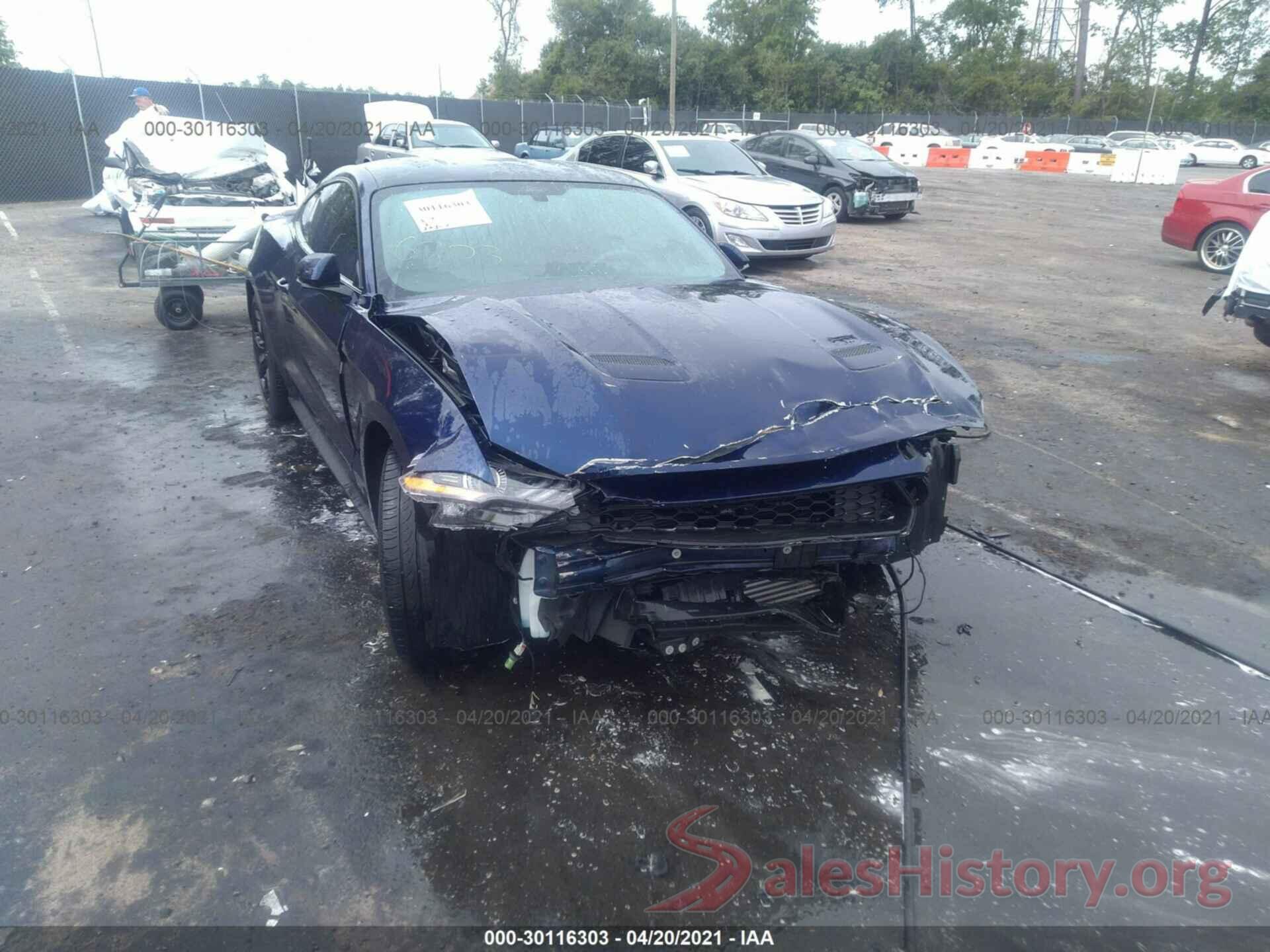 1FA6P8TH1K5105499 2019 FORD MUSTANG