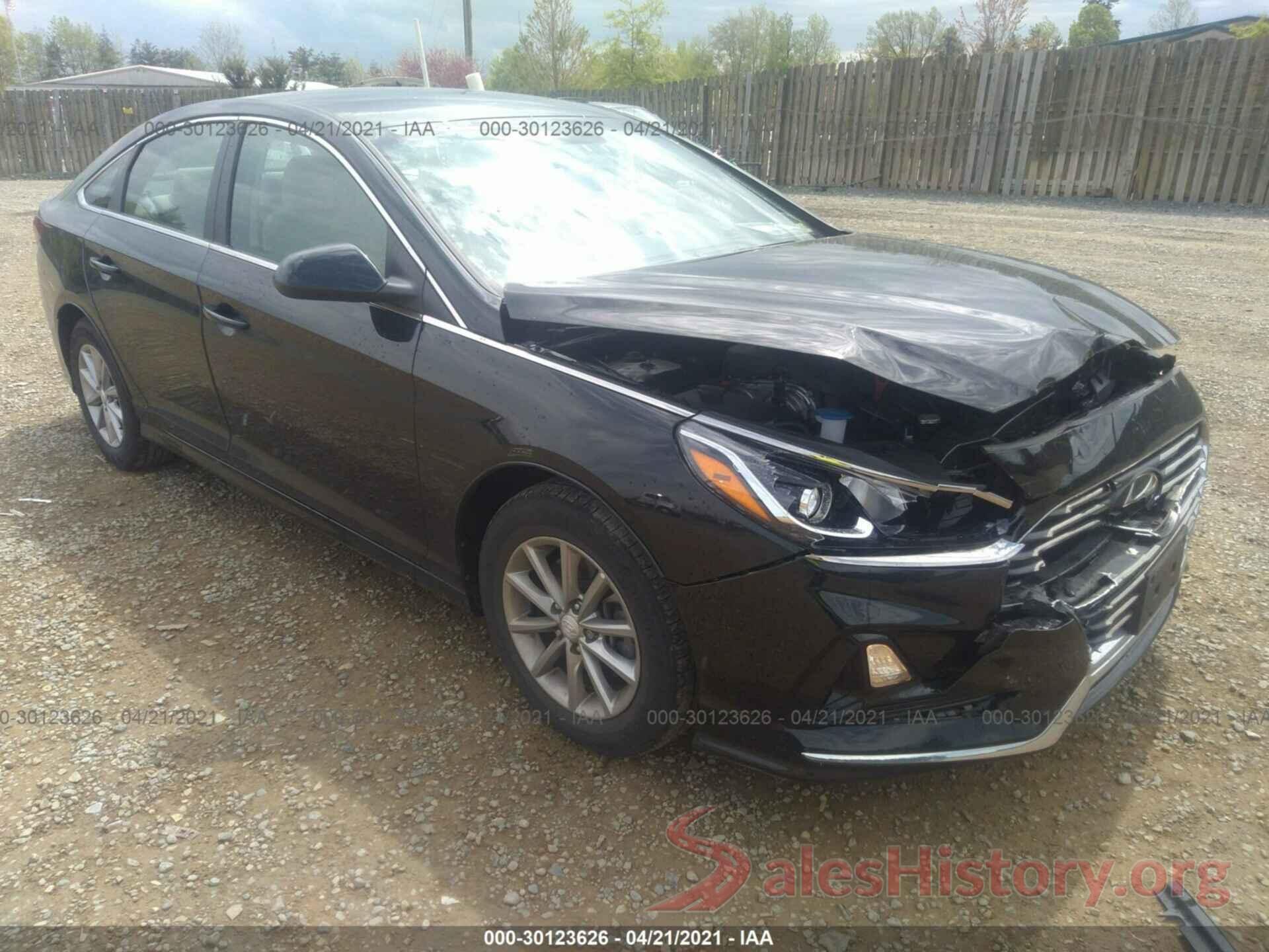 5NPE24AF7KH764010 2019 HYUNDAI SONATA