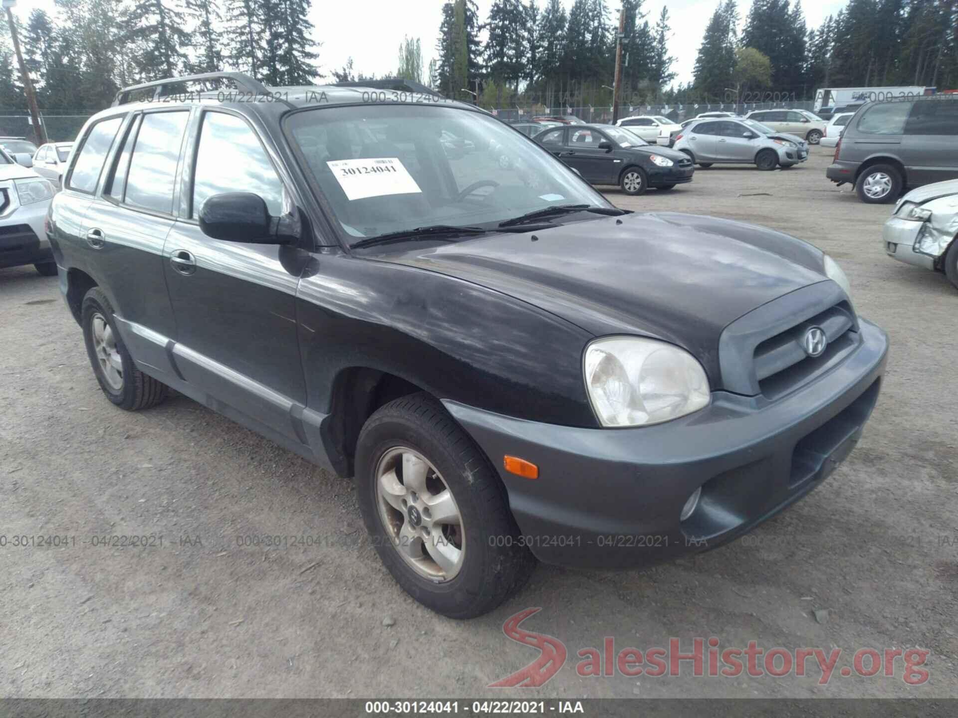 5XYPKDA59HG246576 2006 HYUNDAI SANTA FE