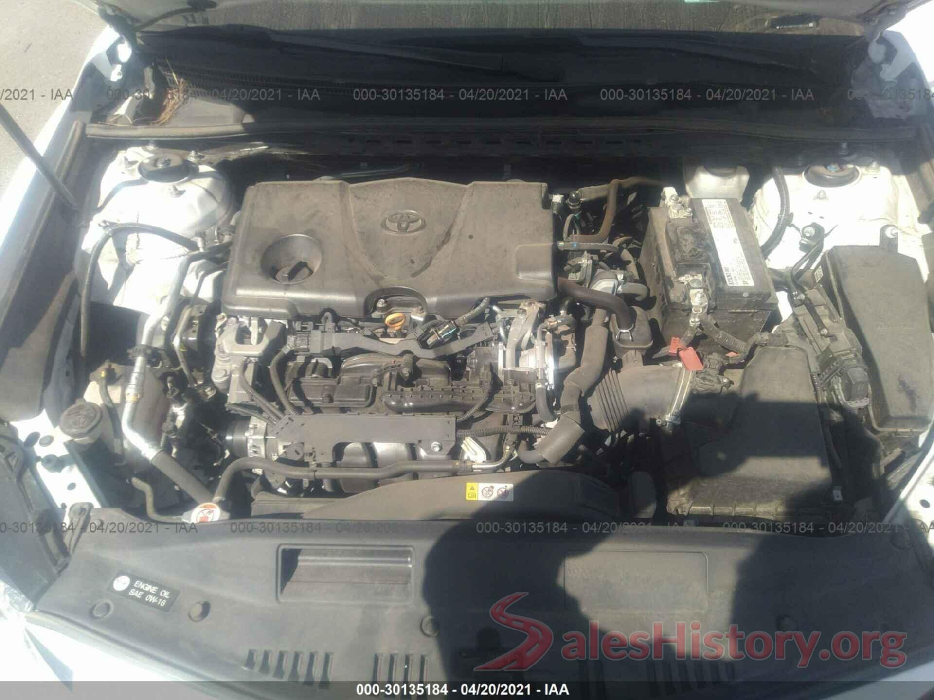 4T1B11HK1KU196149 2019 TOYOTA CAMRY