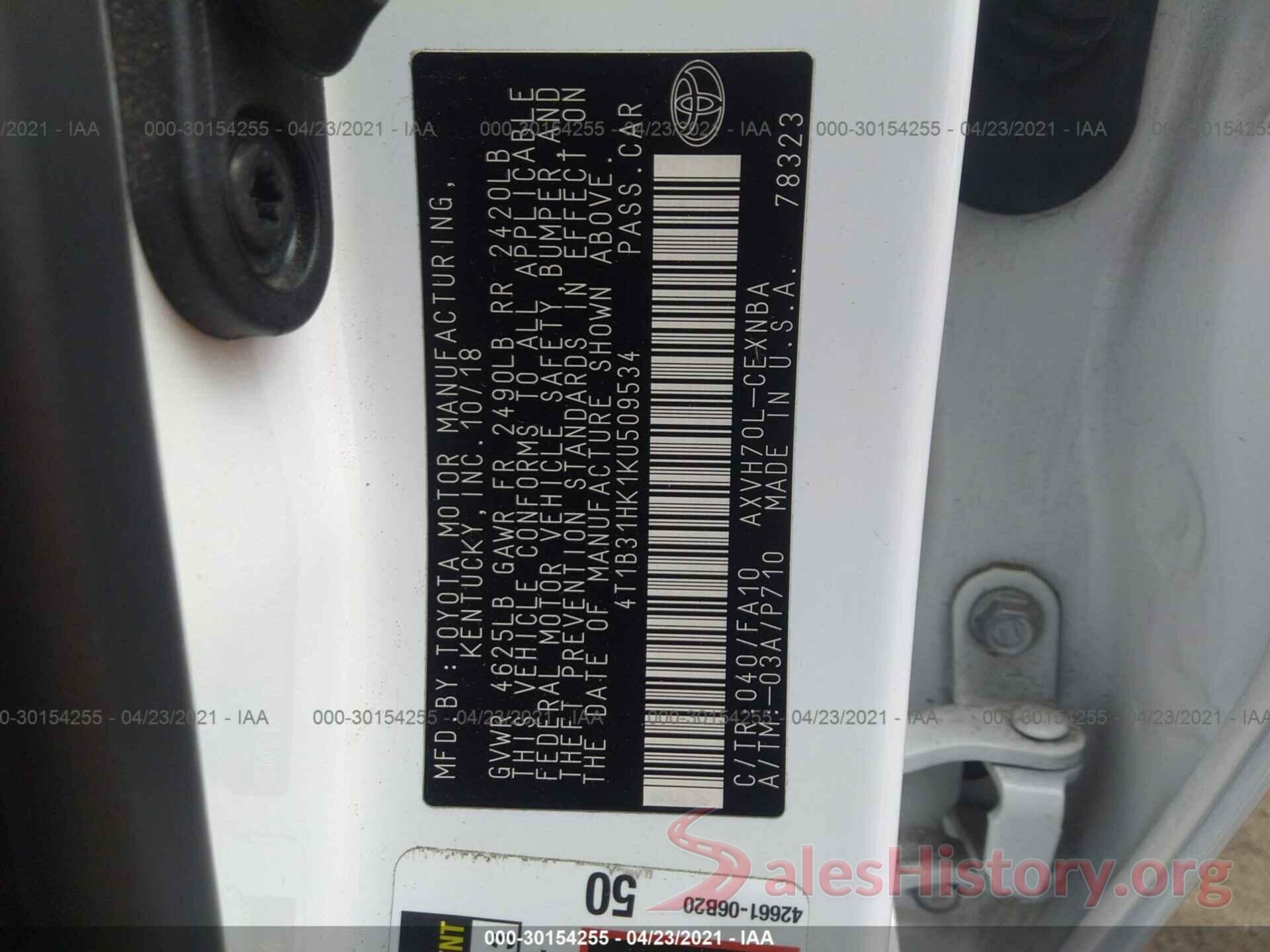 4T1B31HK1KU509534 2019 TOYOTA CAMRY