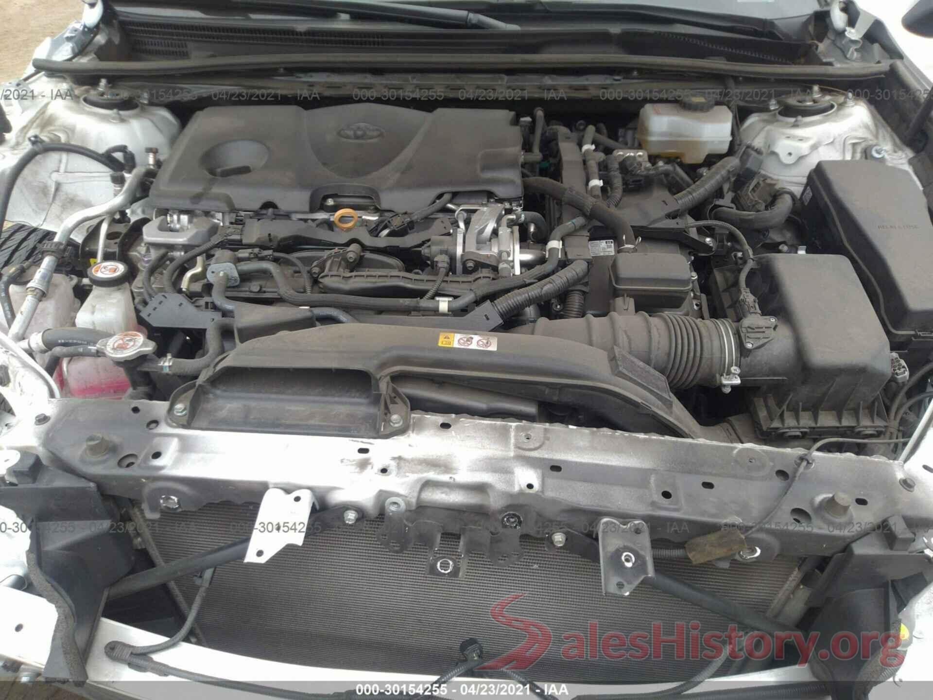 4T1B31HK1KU509534 2019 TOYOTA CAMRY