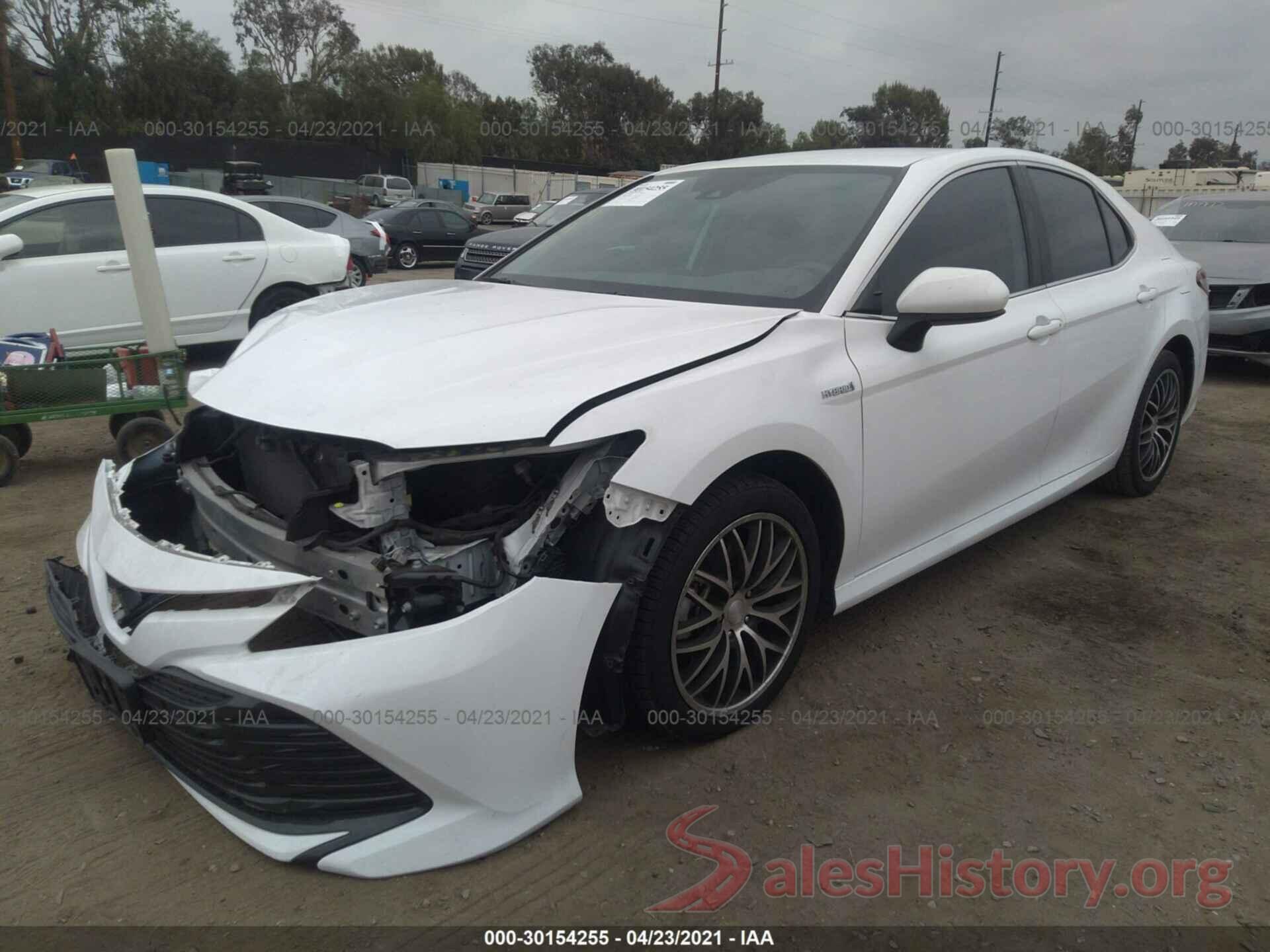 4T1B31HK1KU509534 2019 TOYOTA CAMRY