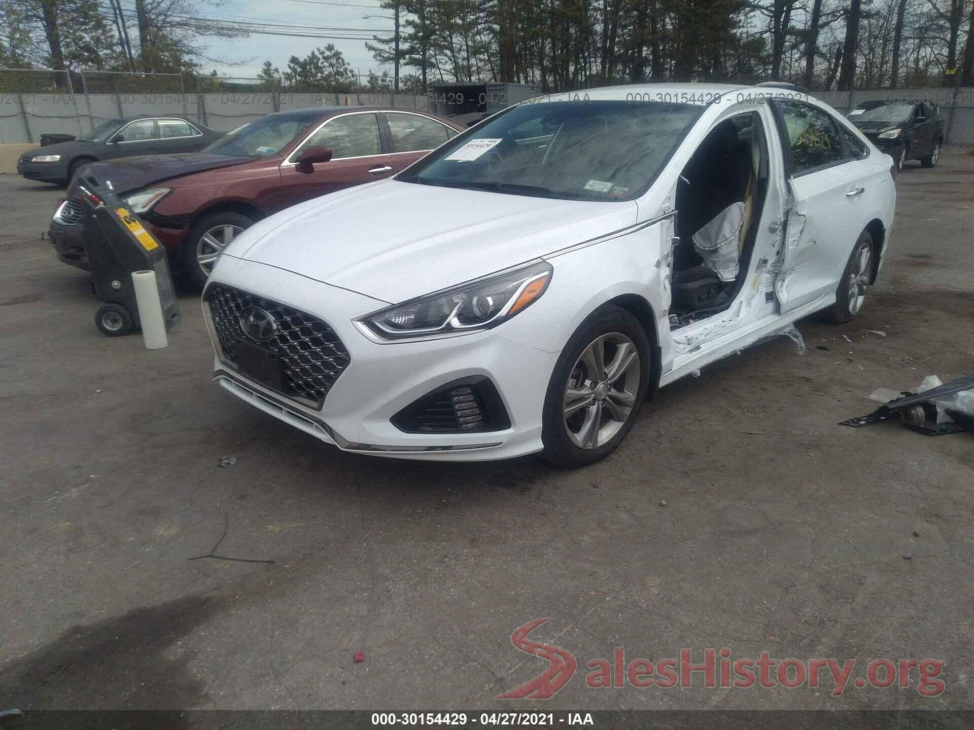 5NPE34AF8KH808786 2019 HYUNDAI SONATA