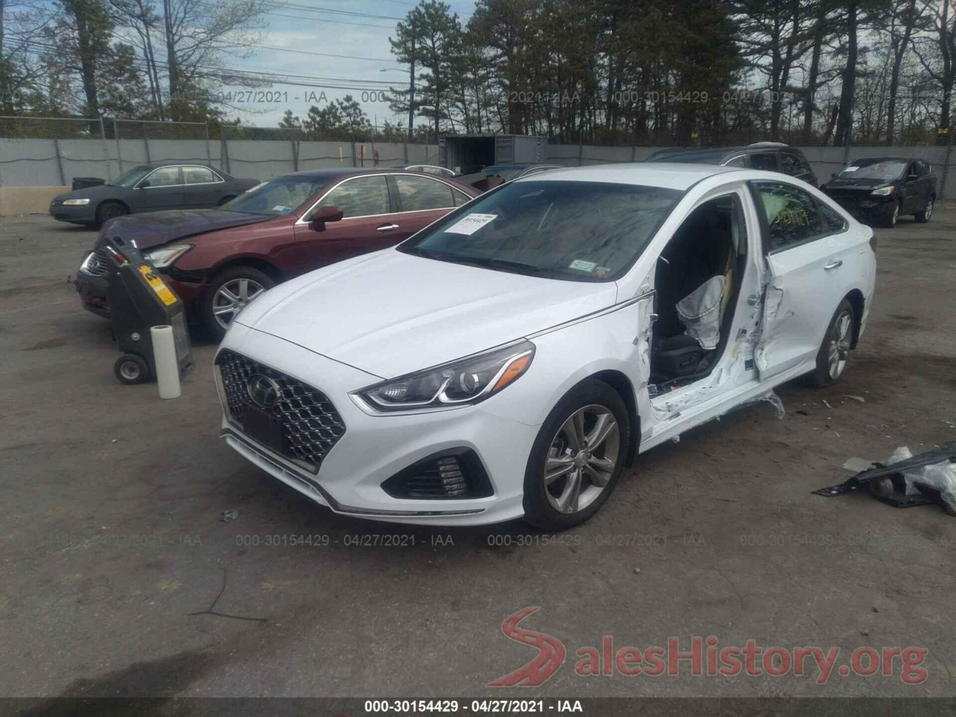 5NPE34AF8KH808786 2019 HYUNDAI SONATA