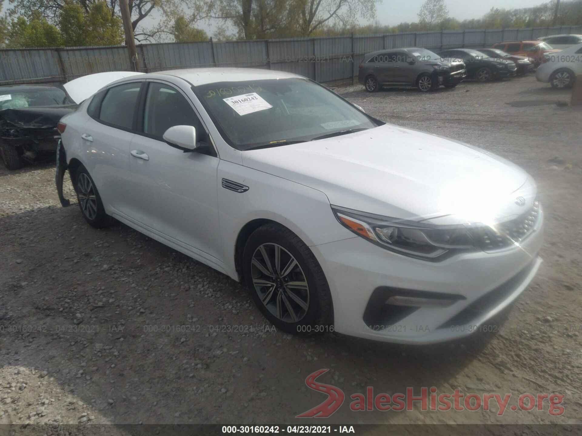 5XXGT4L34KG366659 2019 KIA OPTIMA