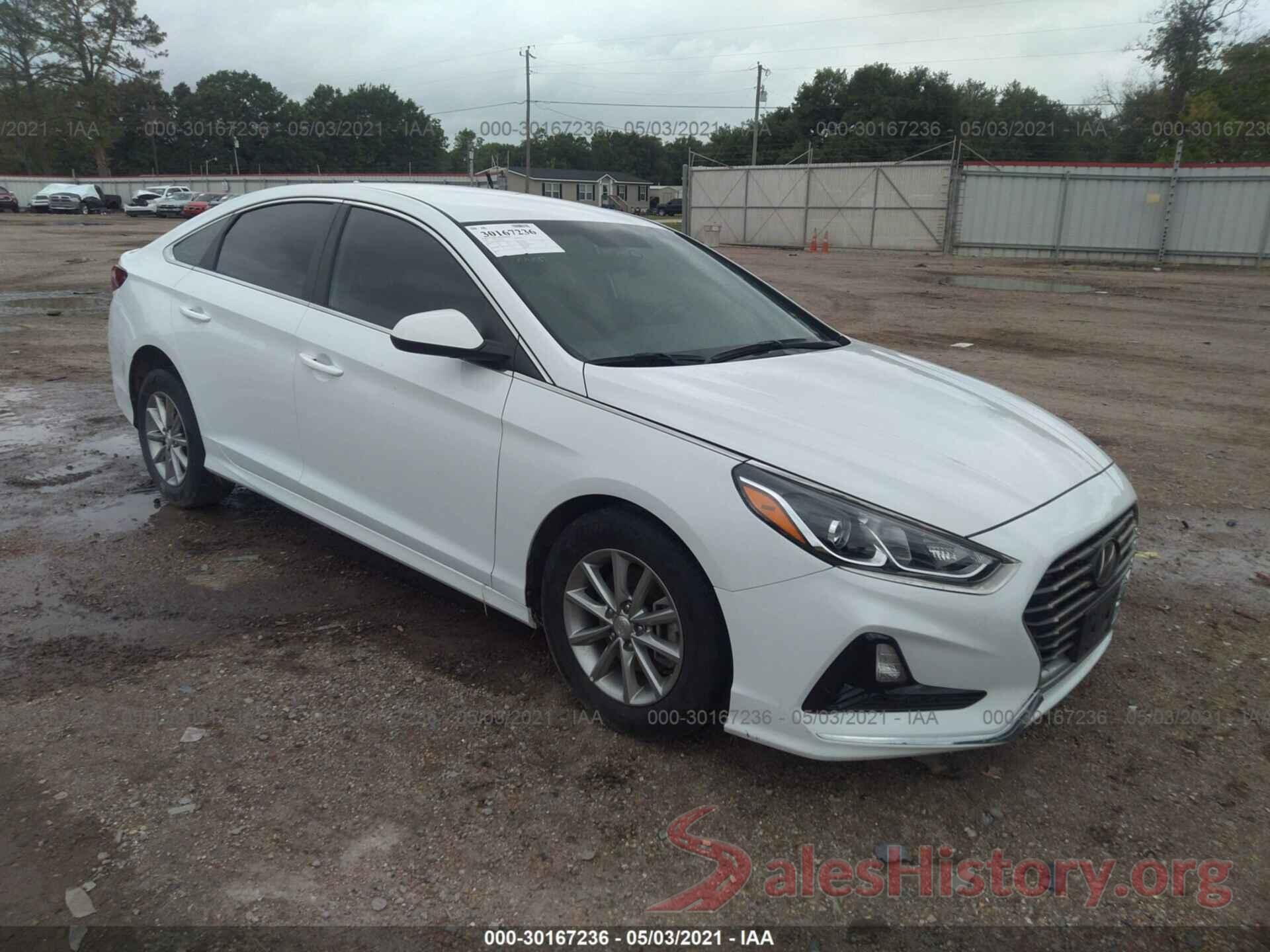 5NPE24AF7KH745604 2019 HYUNDAI SONATA