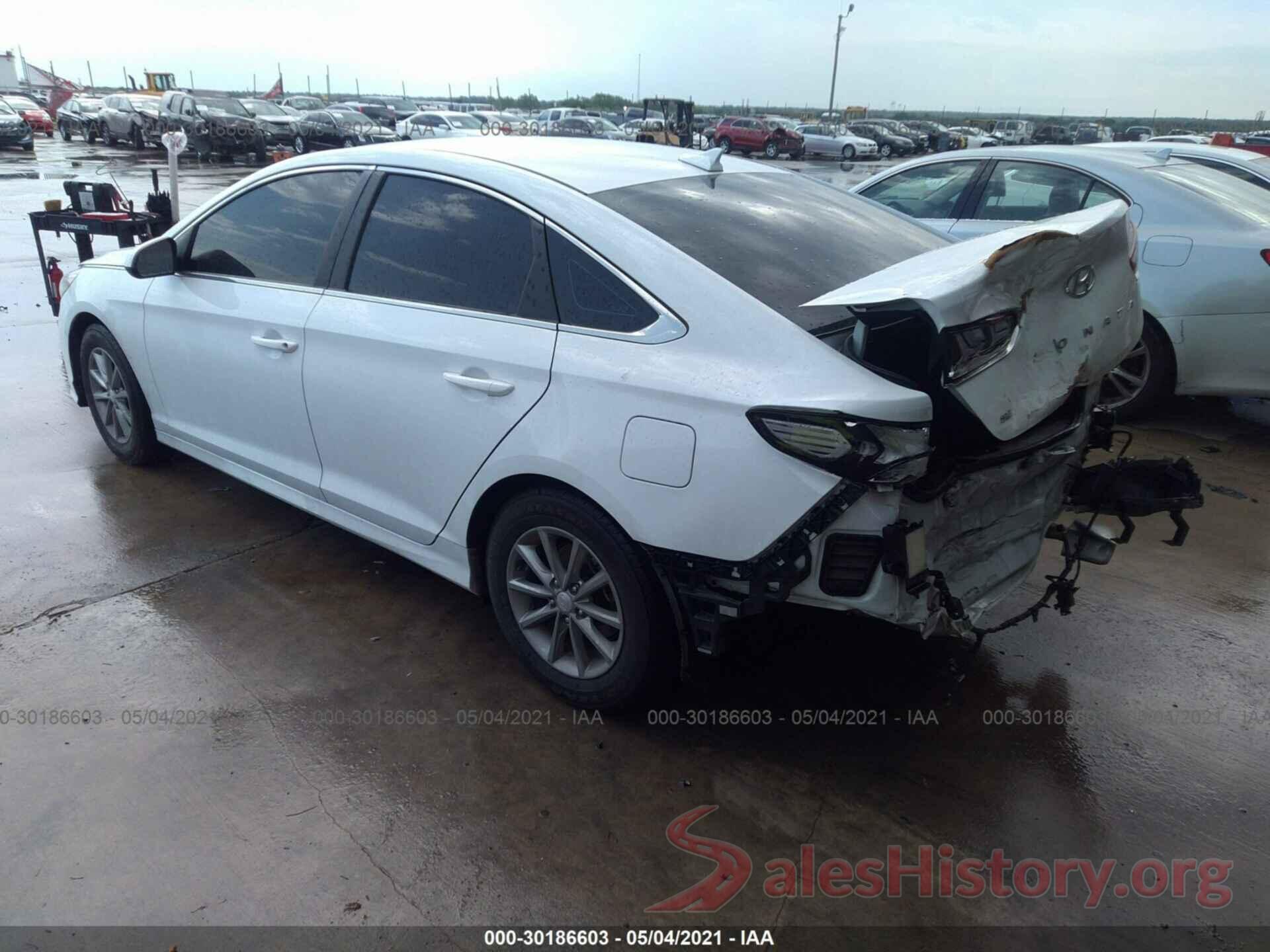 5NPE24AF9KH770679 2019 HYUNDAI SONATA