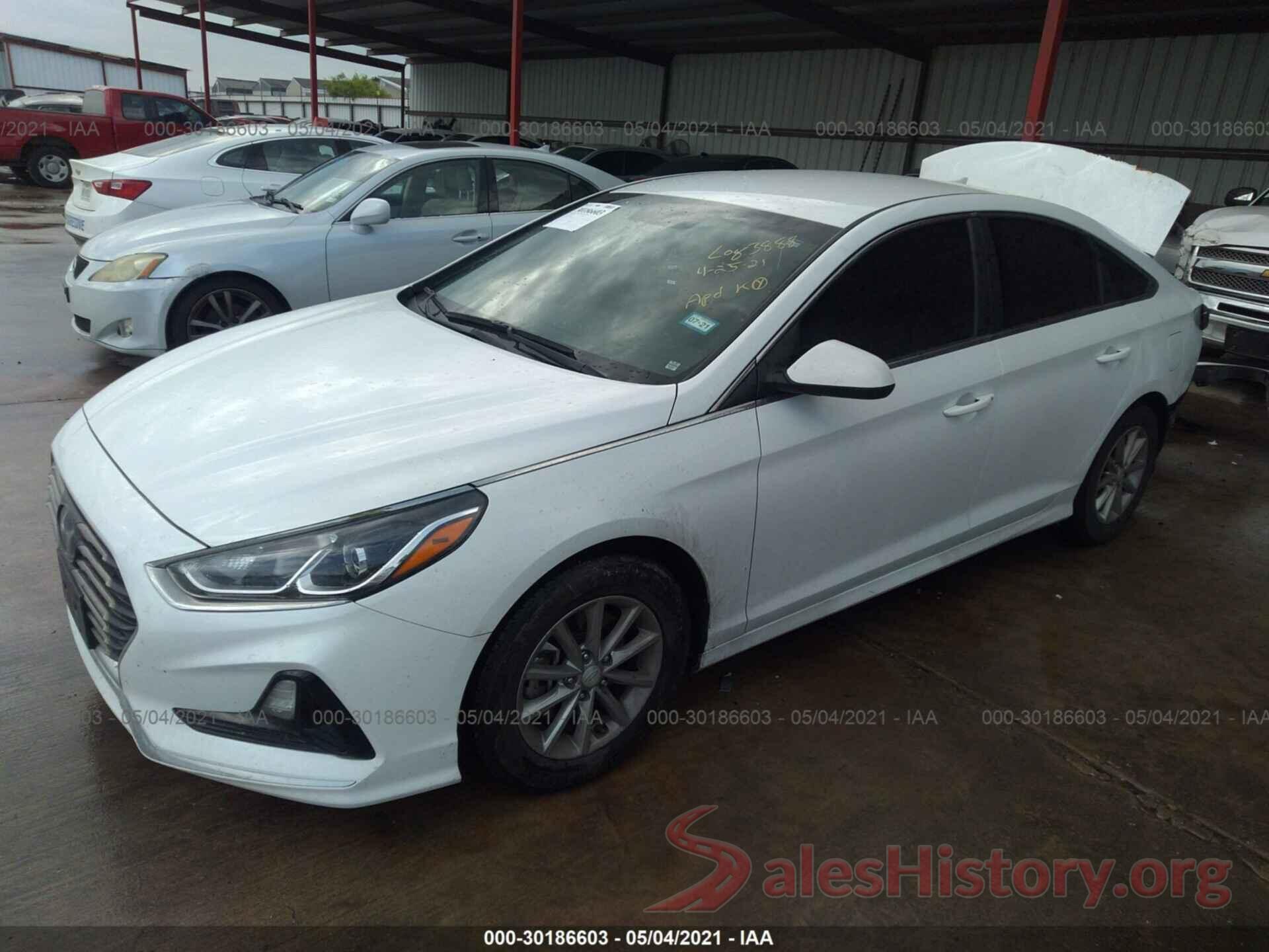 5NPE24AF9KH770679 2019 HYUNDAI SONATA