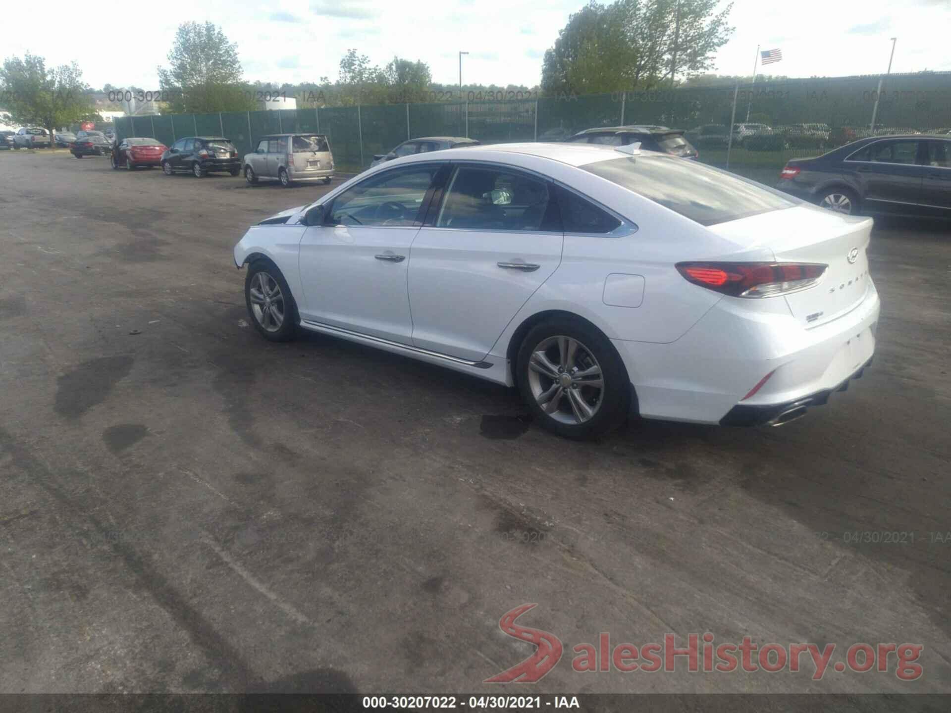 5NPE34AF7KH733823 2019 HYUNDAI SONATA