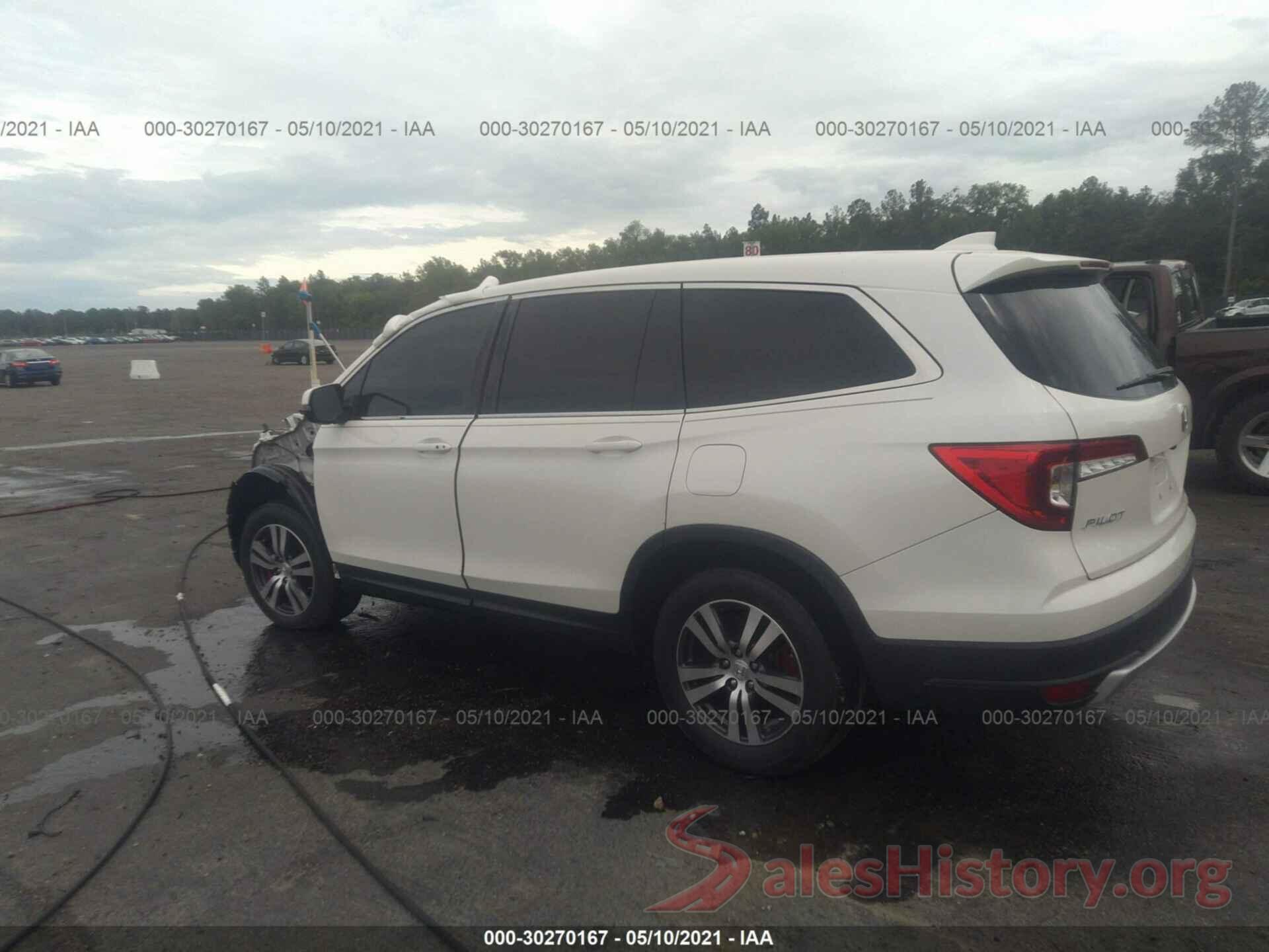 5FNYF5H52KB020981 2019 HONDA PILOT