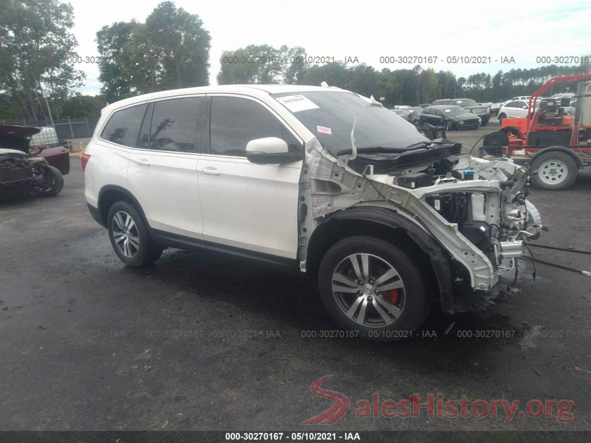 5FNYF5H52KB020981 2019 HONDA PILOT