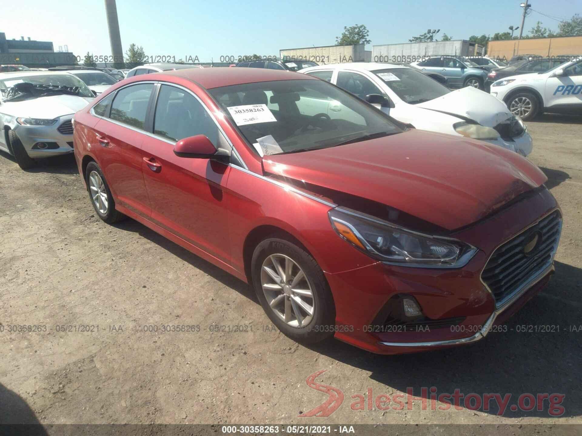 5NPE24AF7KH773516 2019 HYUNDAI SONATA