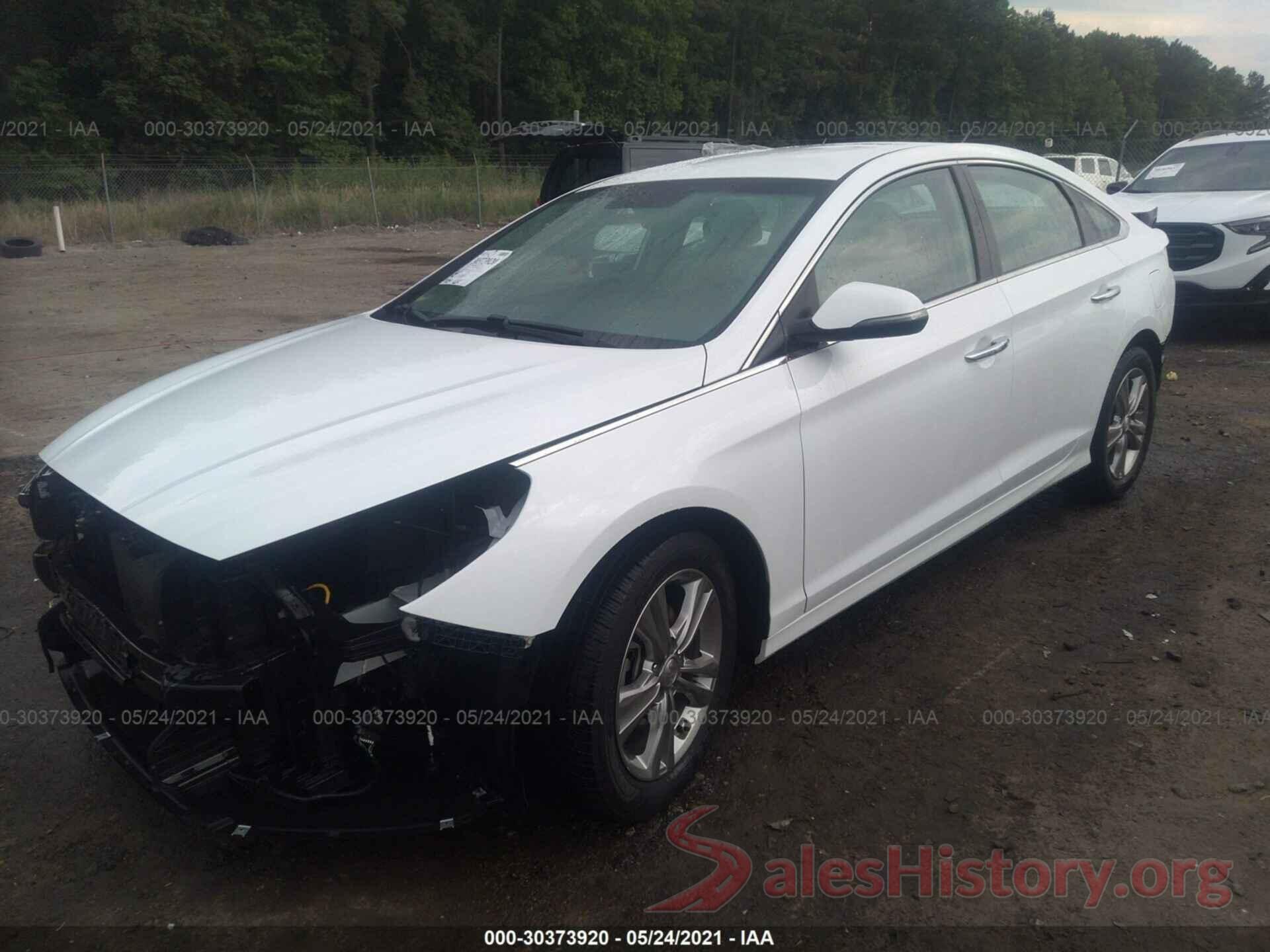 5NPE34AF7KH731179 2019 HYUNDAI SONATA