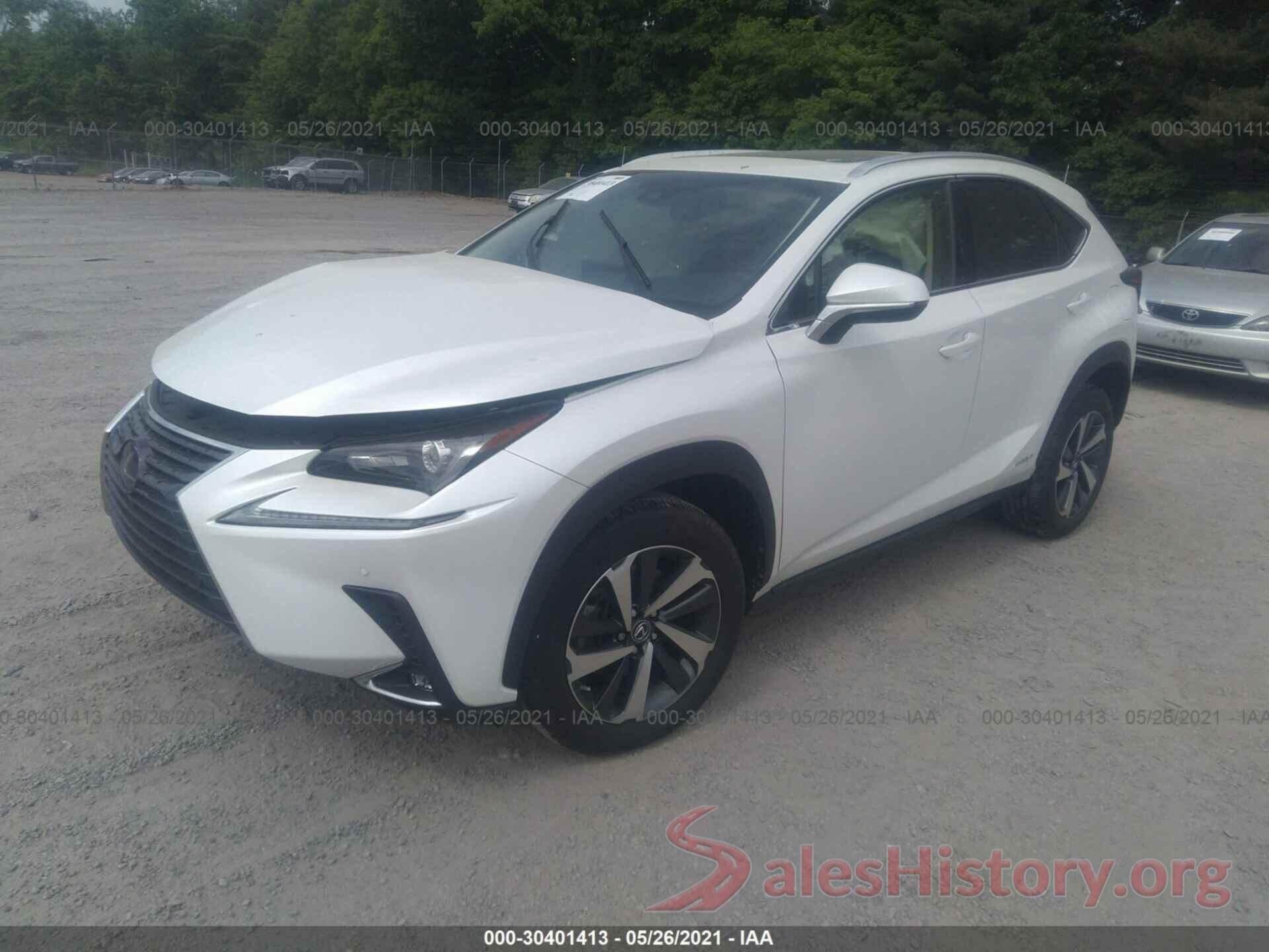 JTJBJRBZ7K2113566 2019 LEXUS NX