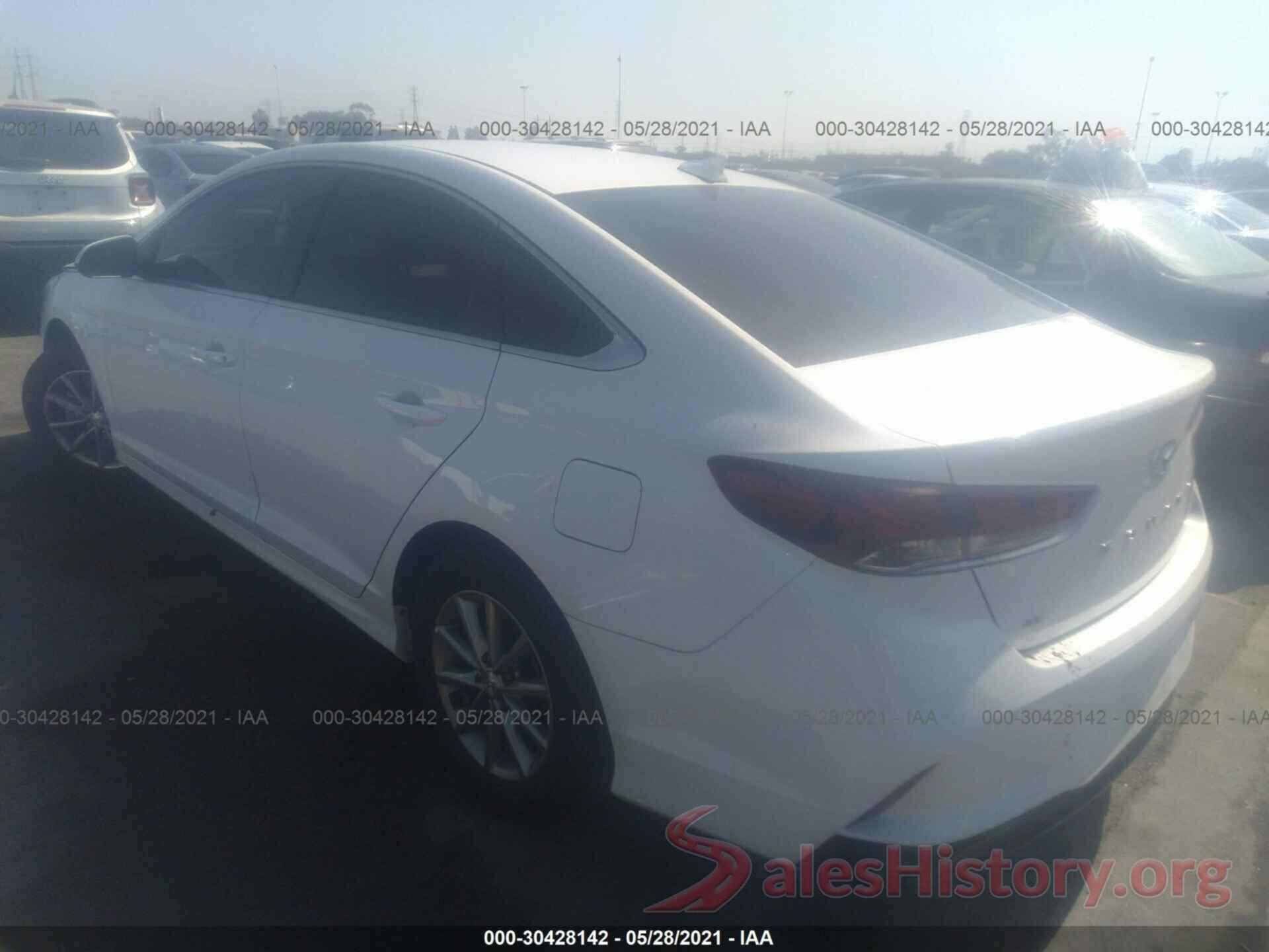 5NPE24AF9KH764980 2019 HYUNDAI SONATA