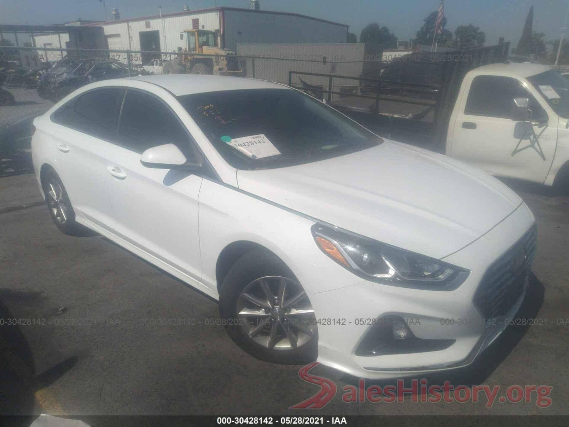 5NPE24AF9KH764980 2019 HYUNDAI SONATA