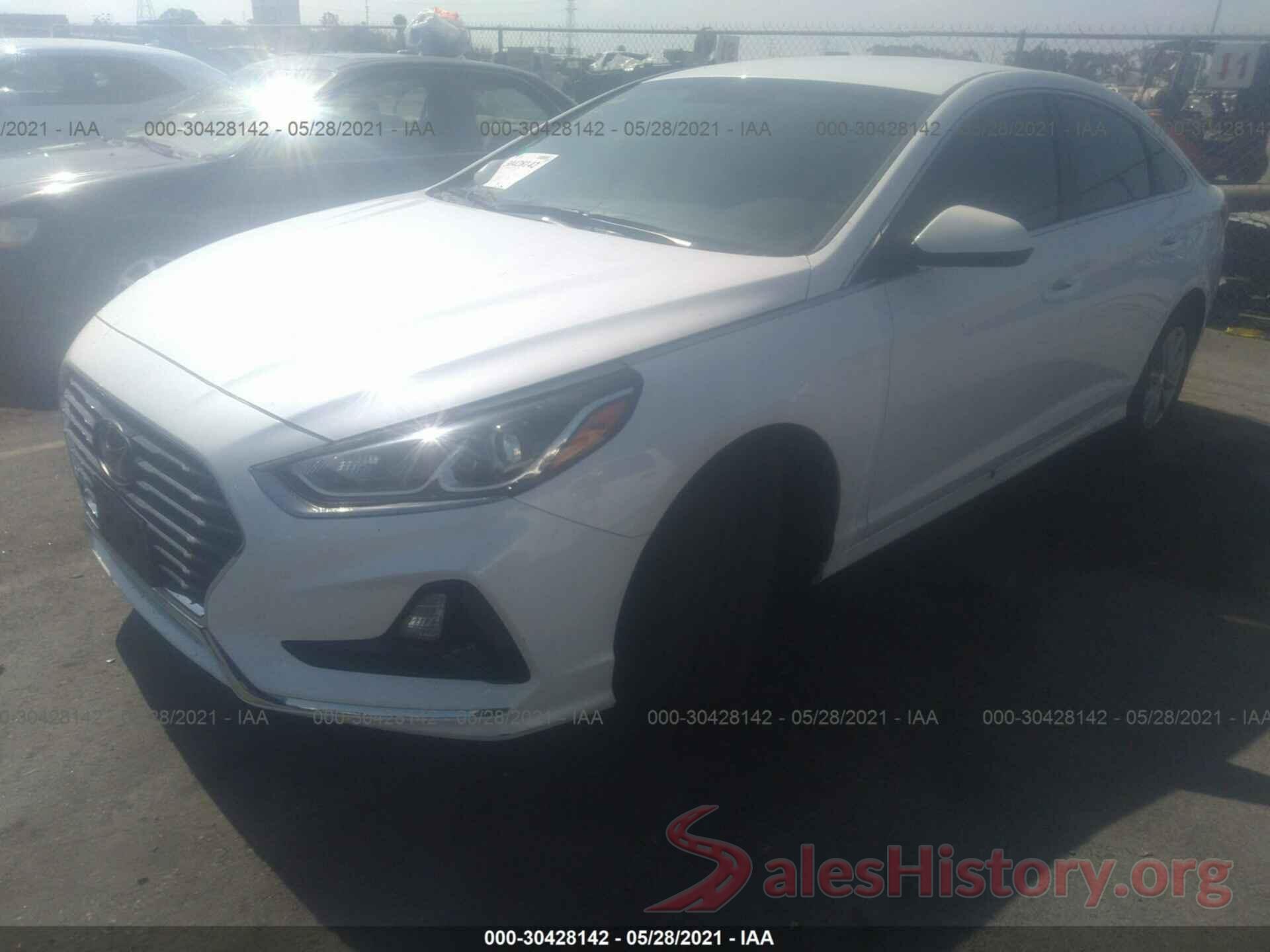 5NPE24AF9KH764980 2019 HYUNDAI SONATA