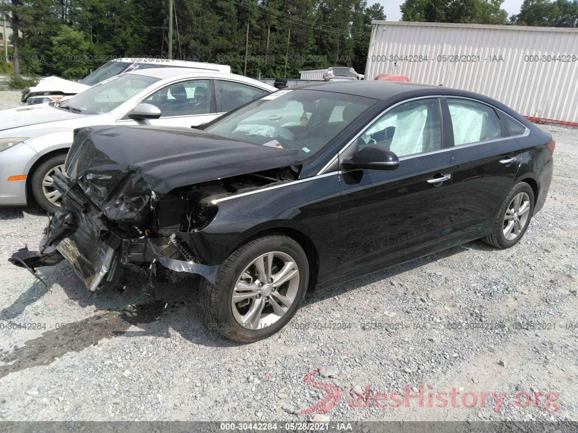 5NPE34AF3KH787135 2019 HYUNDAI SONATA