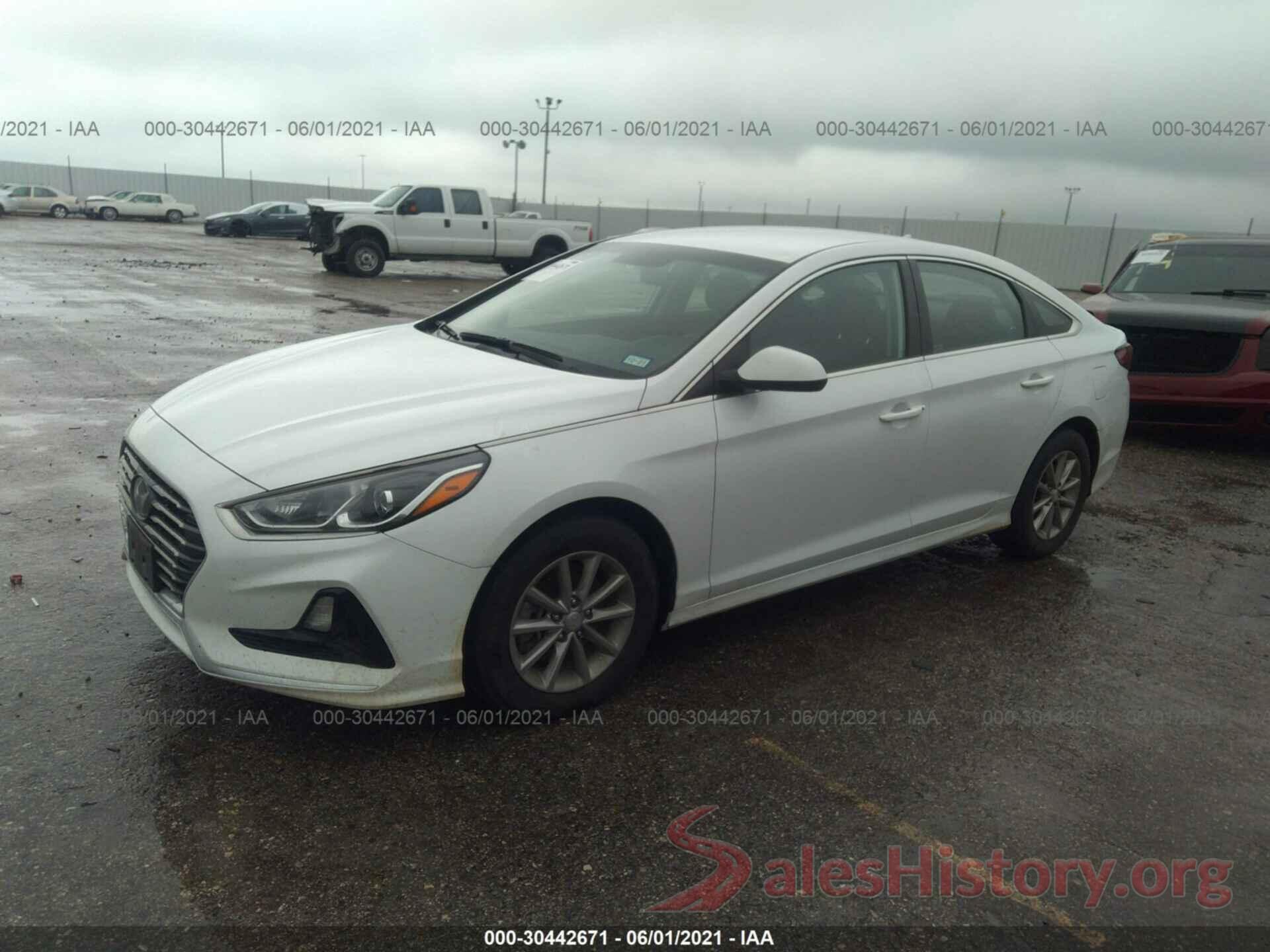 5NPE24AF6KH739972 2019 HYUNDAI SONATA