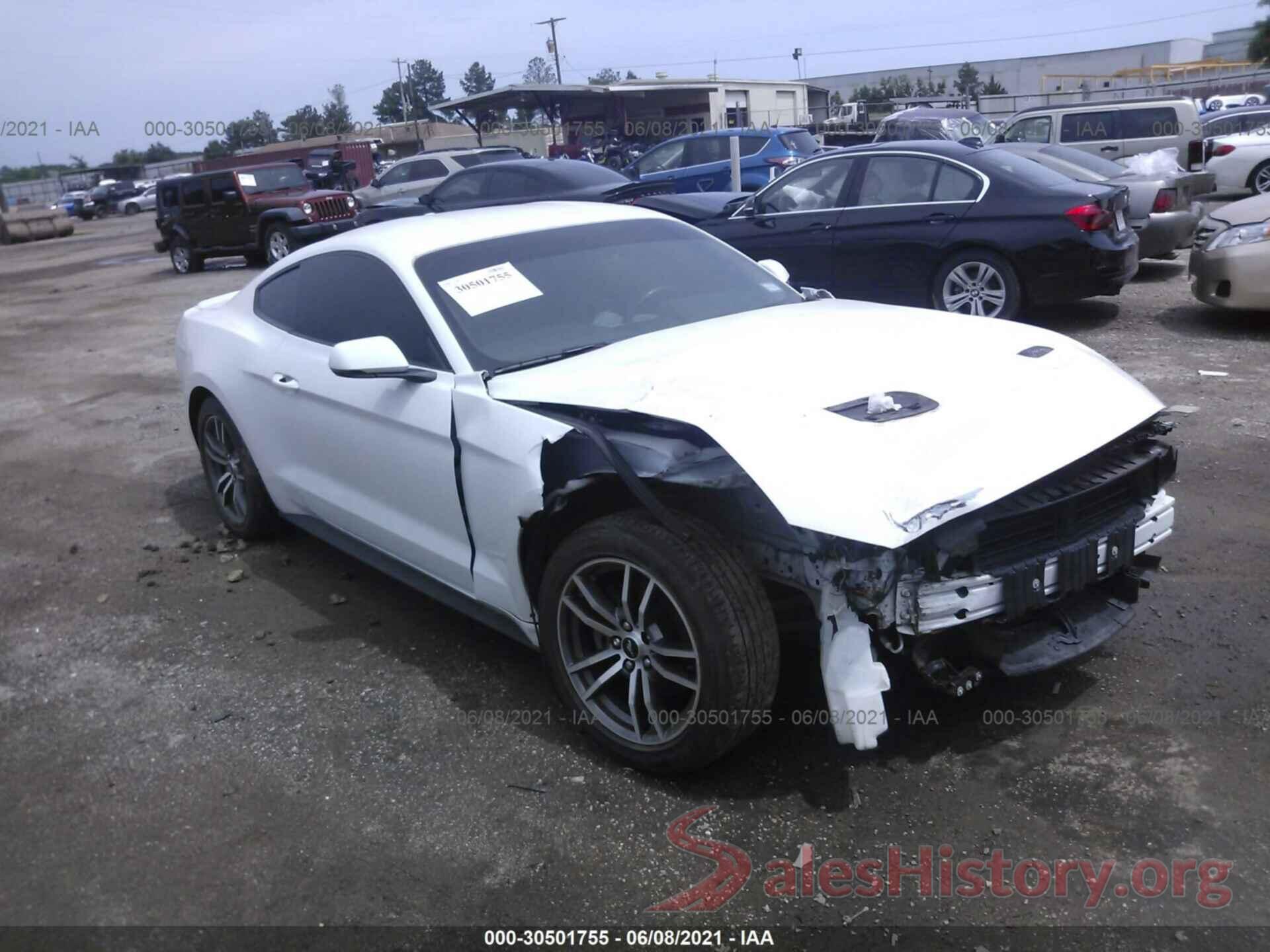 1FA6P8TH9K5186462 2019 FORD MUSTANG