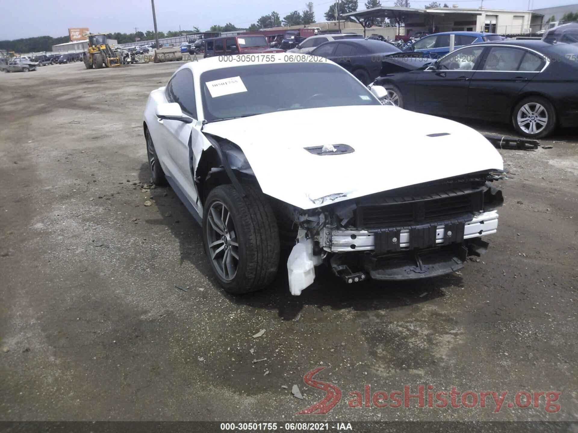 1FA6P8TH9K5186462 2019 FORD MUSTANG