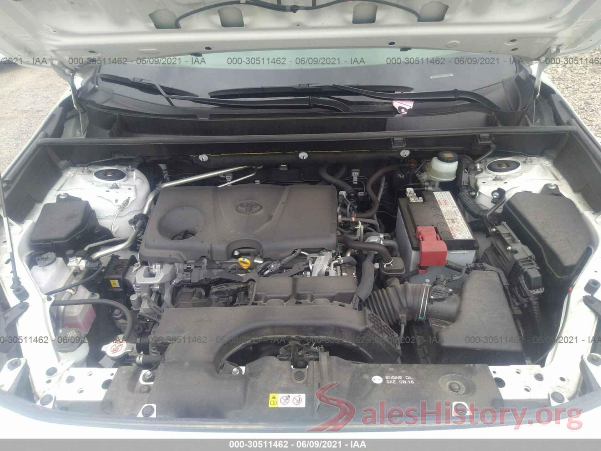 JTMP1RFV8KD505816 2019 TOYOTA RAV4