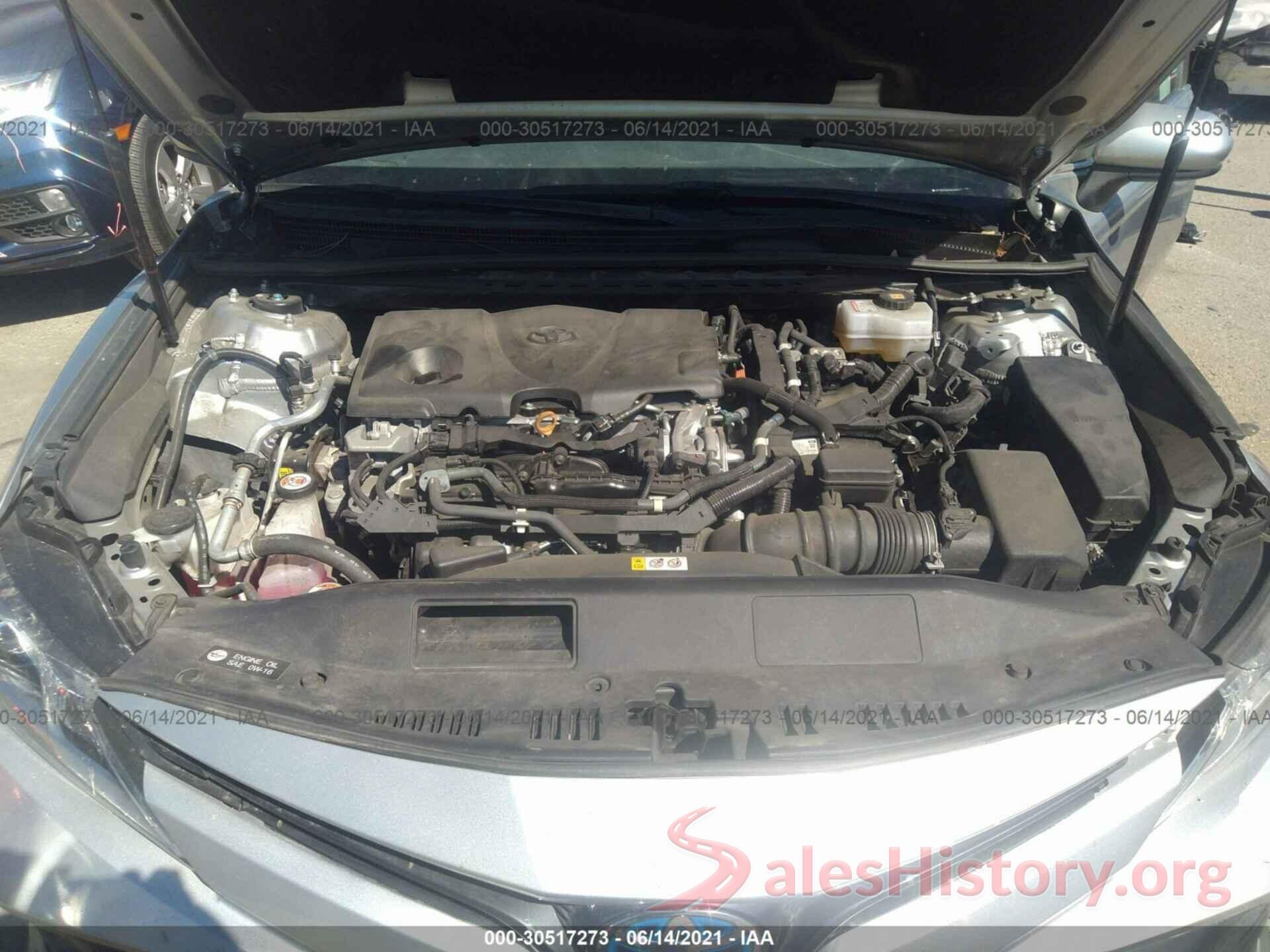 4T1B31HK7KU005392 2019 TOYOTA CAMRY