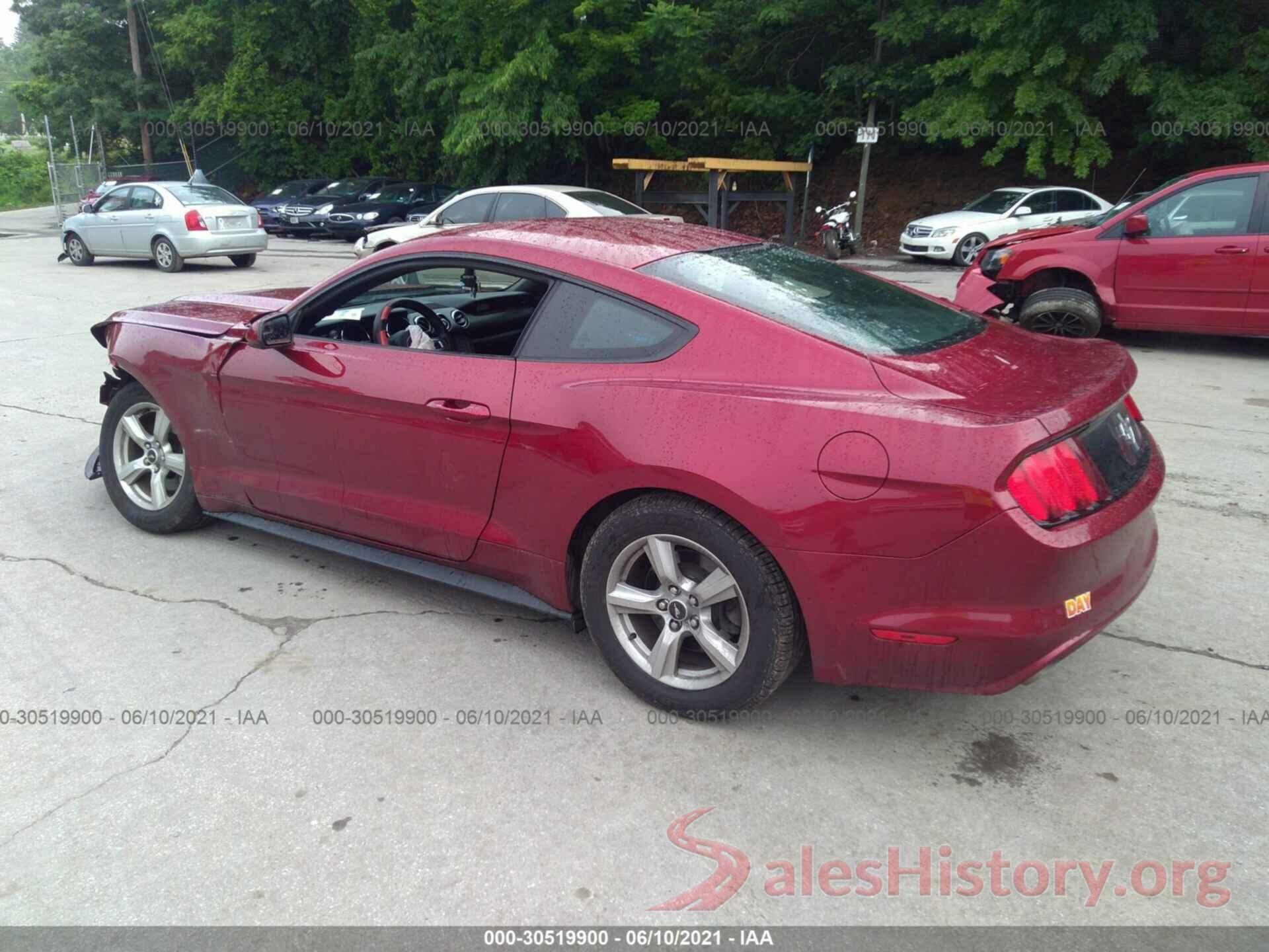 1FA6P8AM0H5264619 2017 FORD MUSTANG