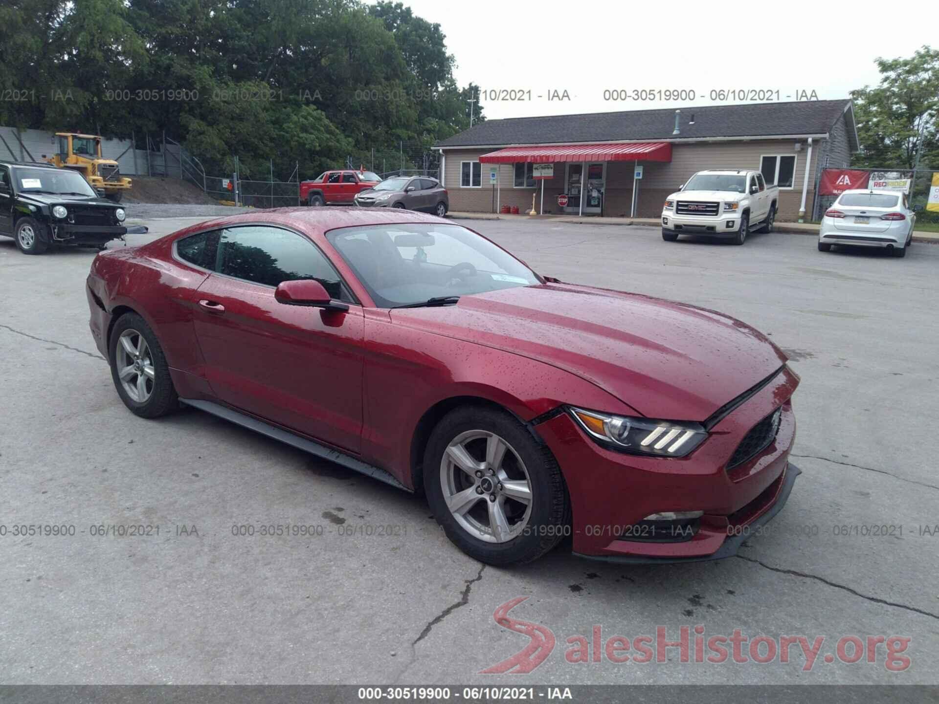 1FA6P8AM0H5264619 2017 FORD MUSTANG