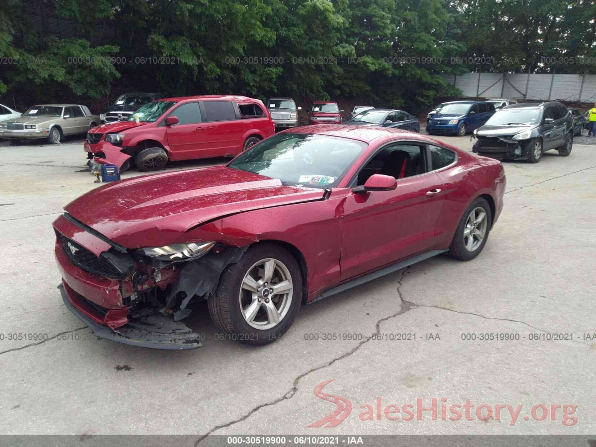 1FA6P8AM0H5264619 2017 FORD MUSTANG