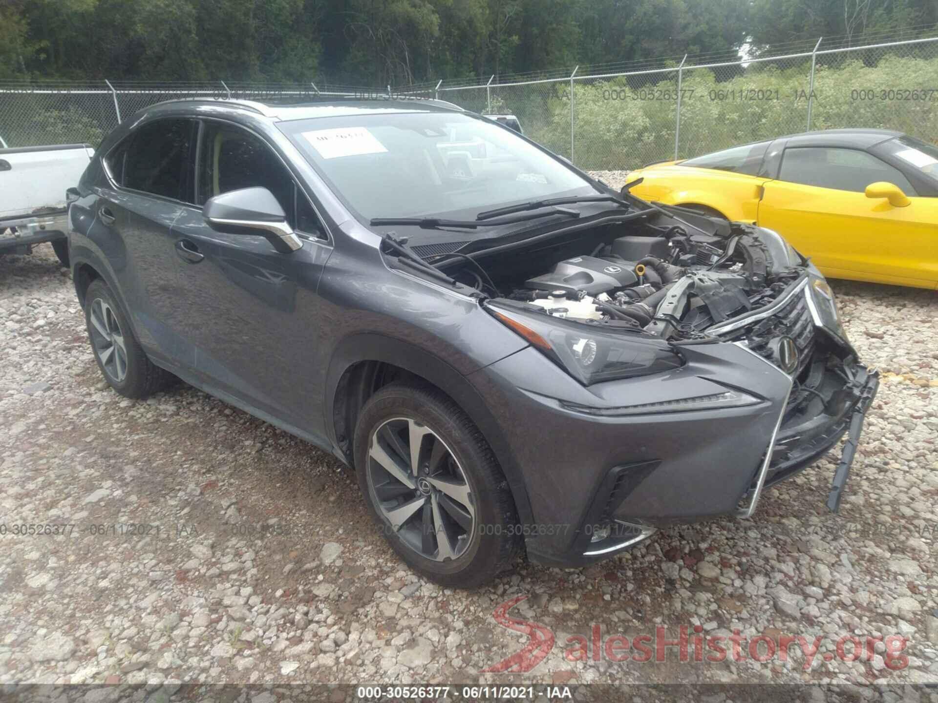 JTJBARBZ4K2183171 2019 LEXUS NX