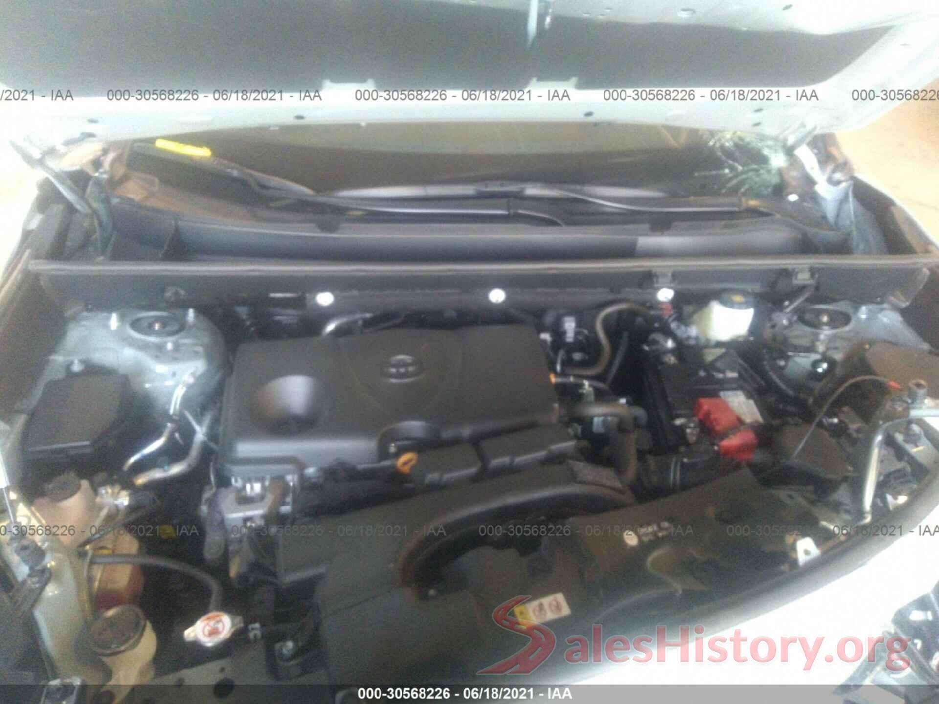 2T3P1RFV5MW188955 2021 TOYOTA RAV4