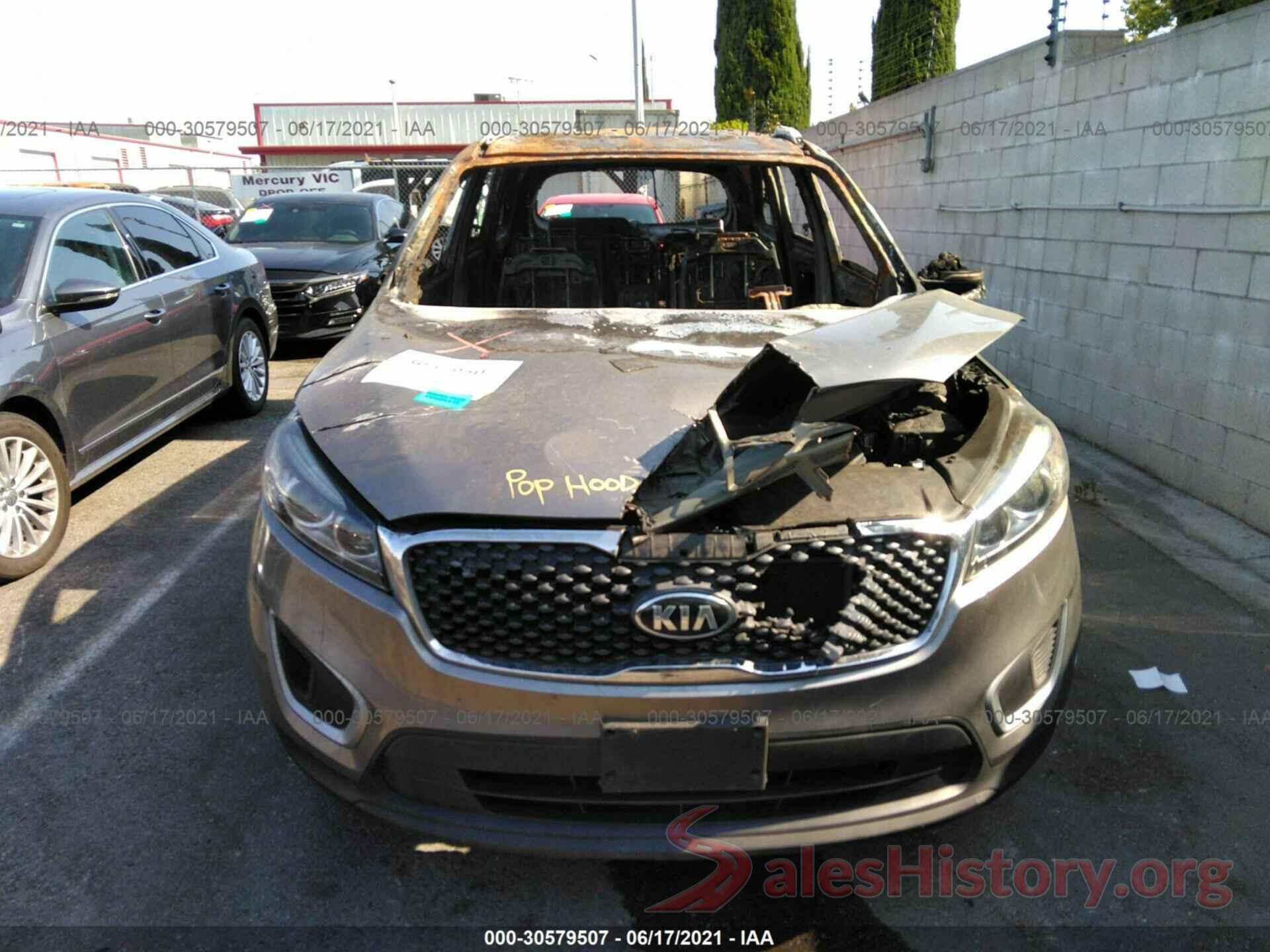 5XYPG4A33JG366623 2018 KIA SORENTO