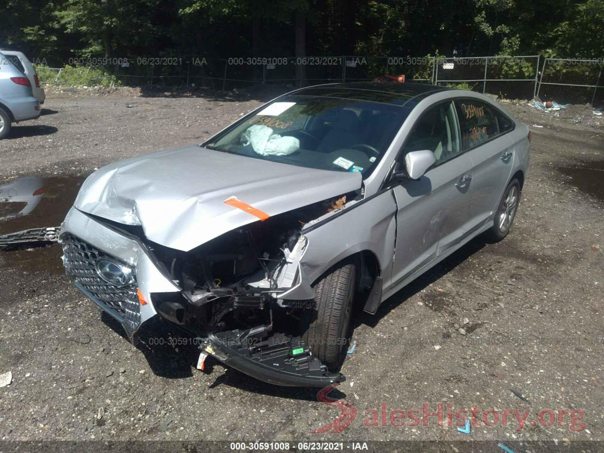 5NPE34AF2KH806614 2019 HYUNDAI SONATA