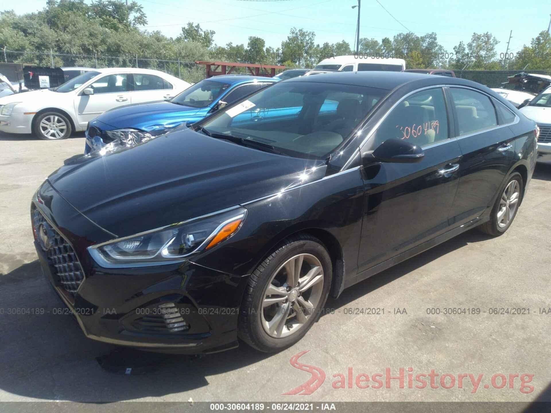 5NPE34AF4KH768352 2019 HYUNDAI SONATA