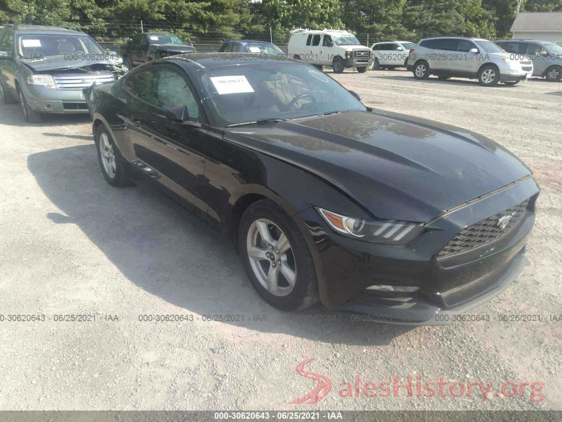 1FA6P8AM9H5339656 2017 FORD MUSTANG