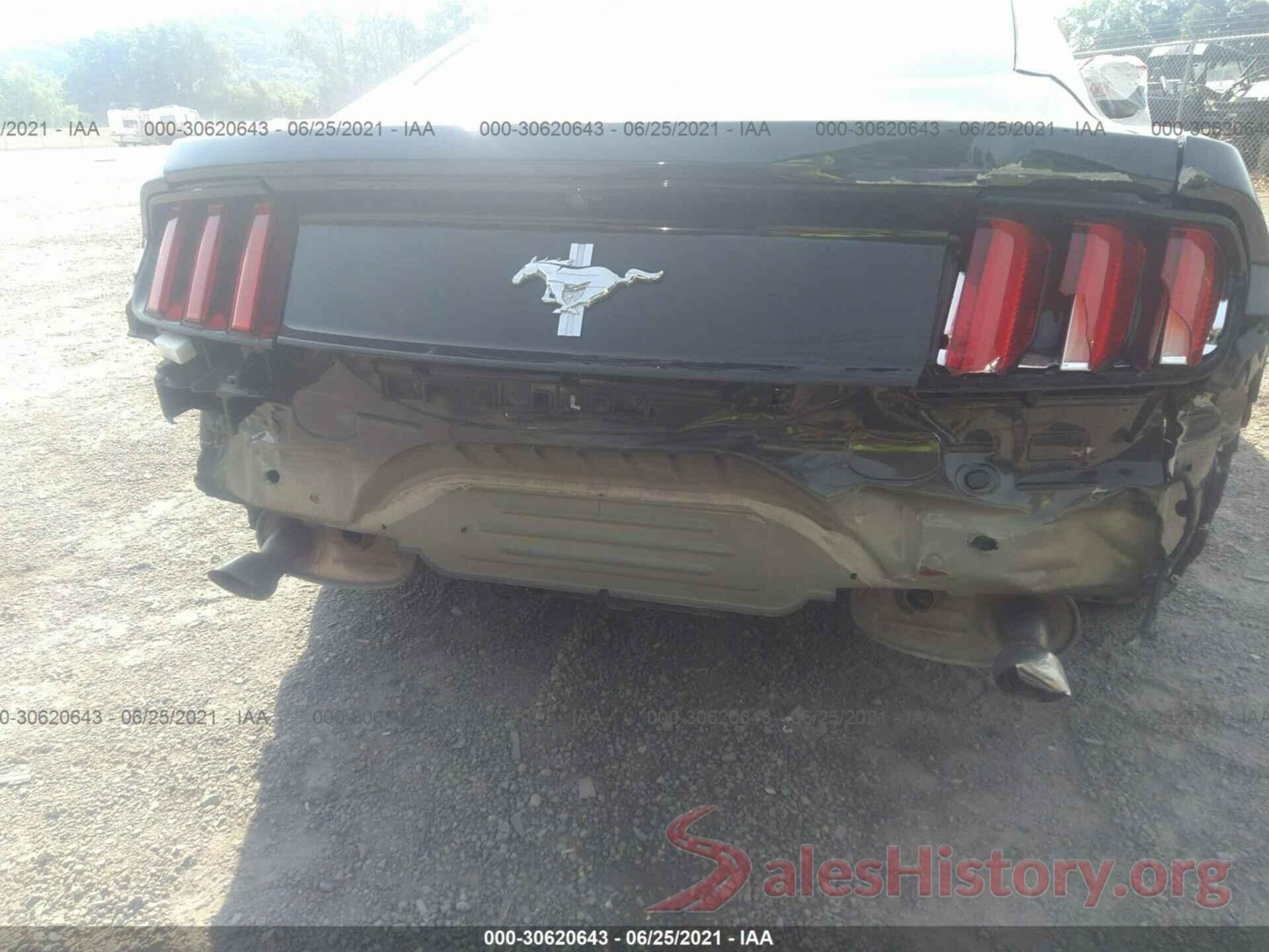 1FA6P8AM9H5339656 2017 FORD MUSTANG