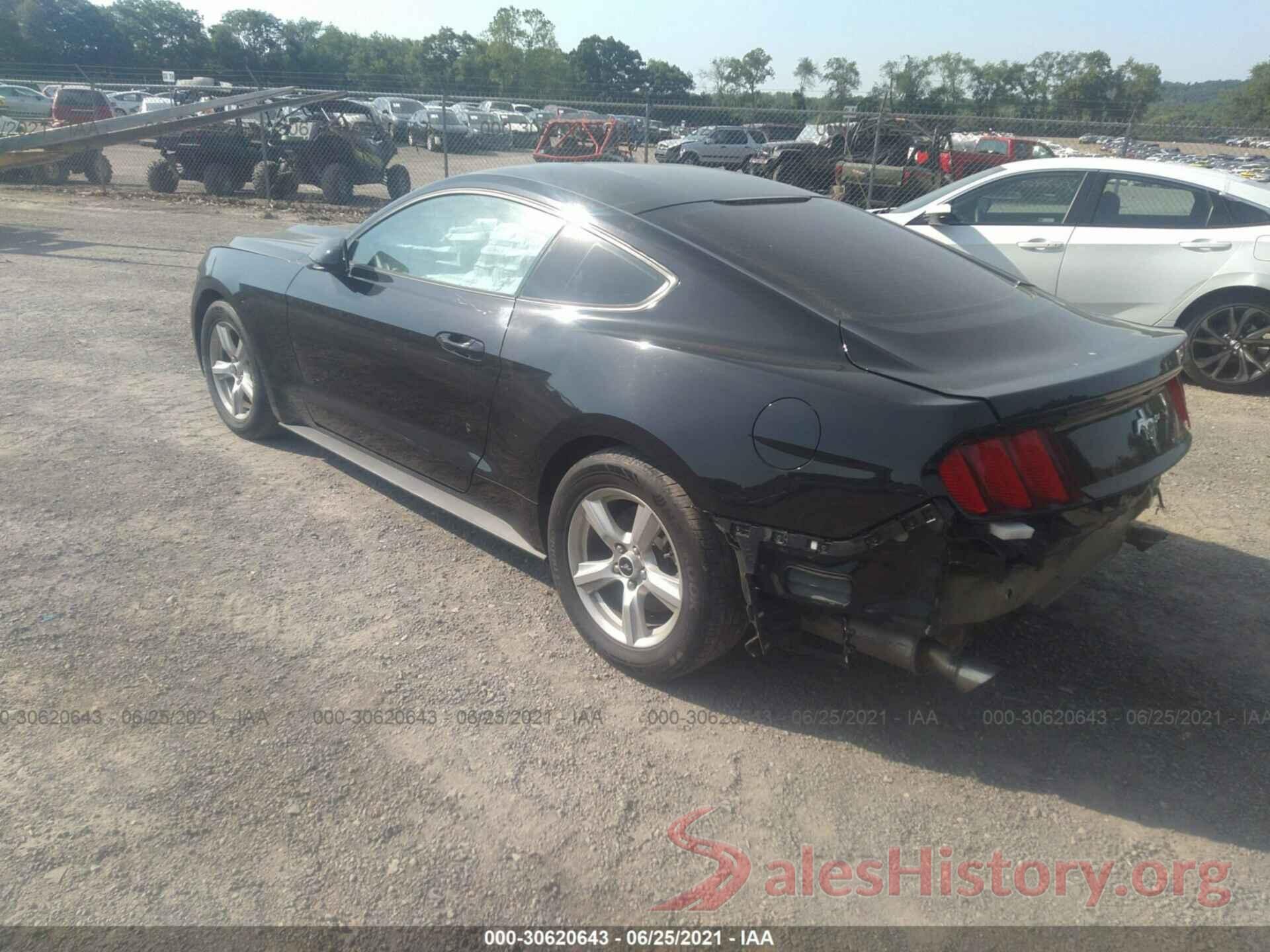 1FA6P8AM9H5339656 2017 FORD MUSTANG