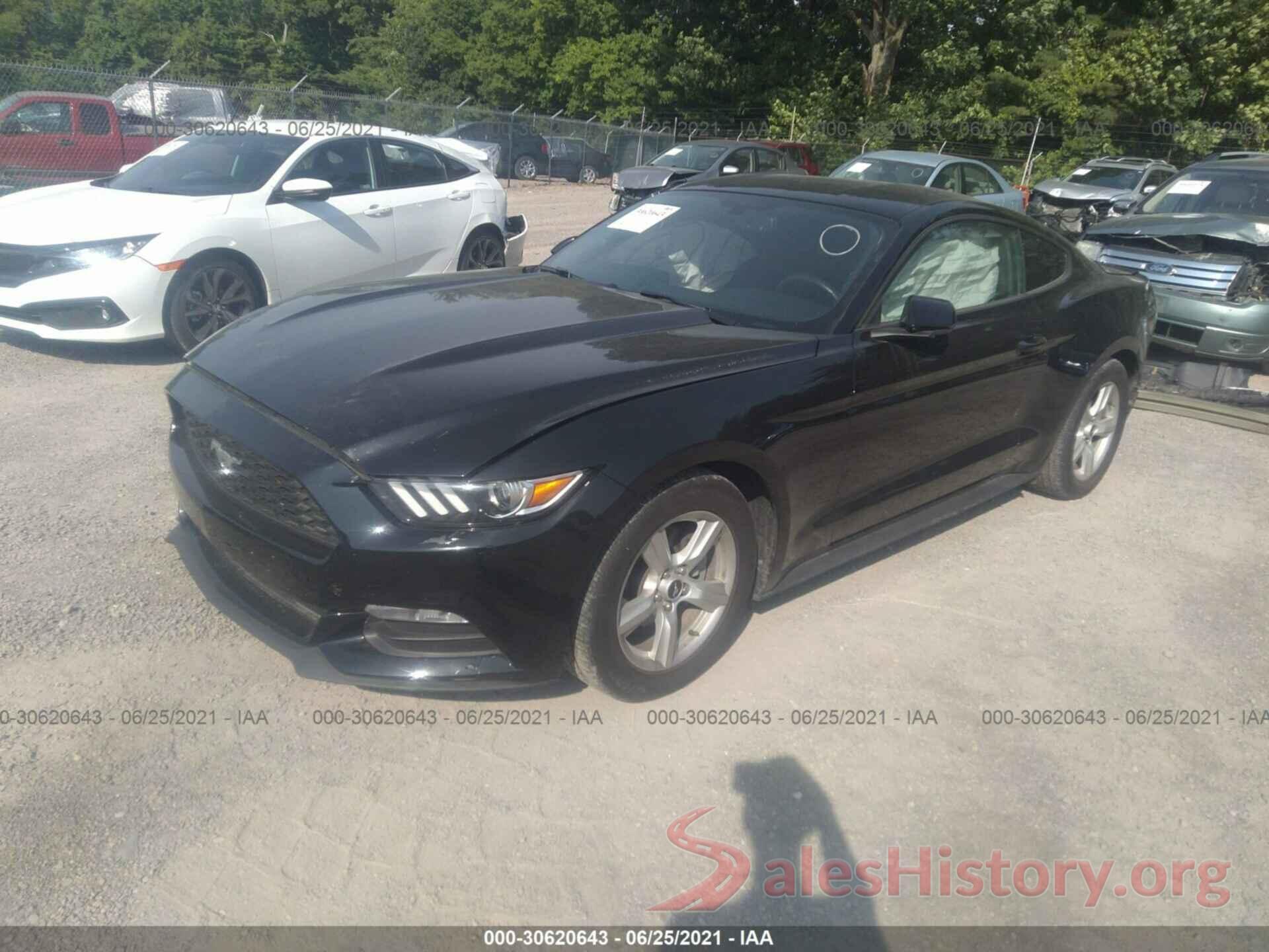 1FA6P8AM9H5339656 2017 FORD MUSTANG