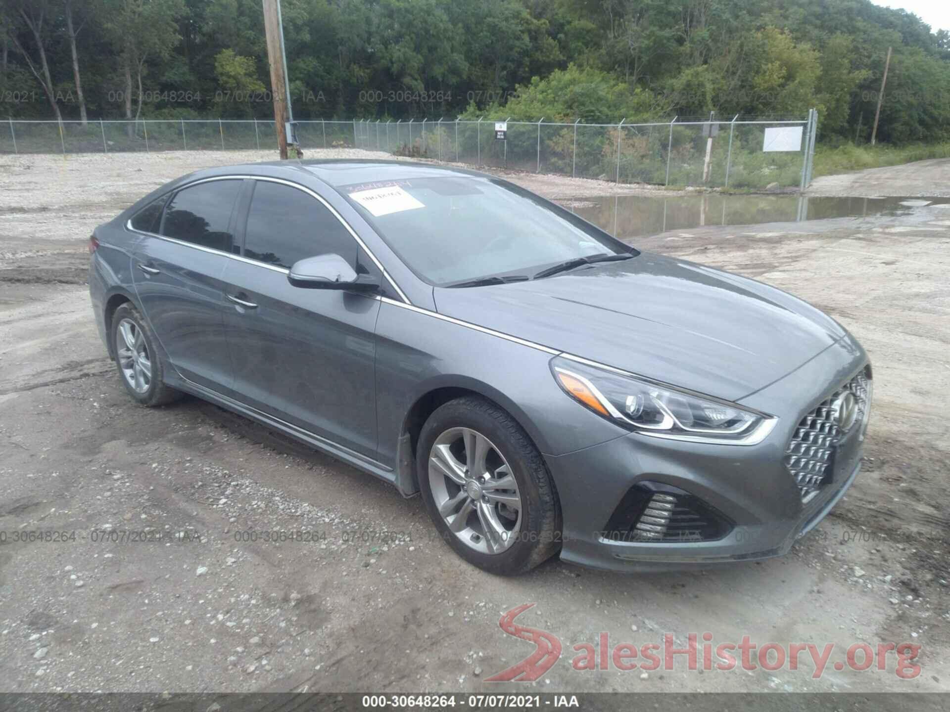 5NPE34AF8KH780875 2019 HYUNDAI SONATA