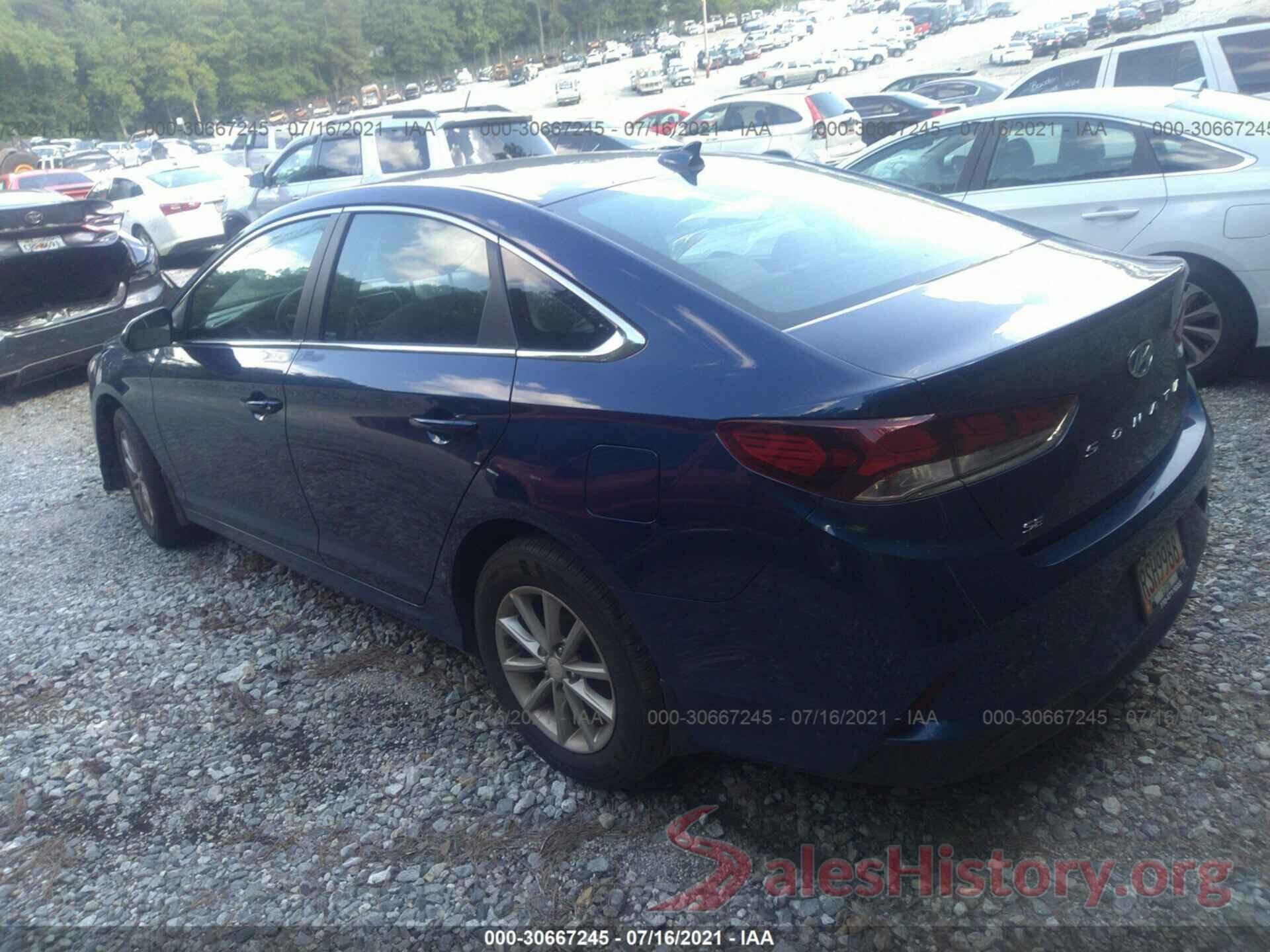 5NPE24AF1KH810687 2019 HYUNDAI SONATA