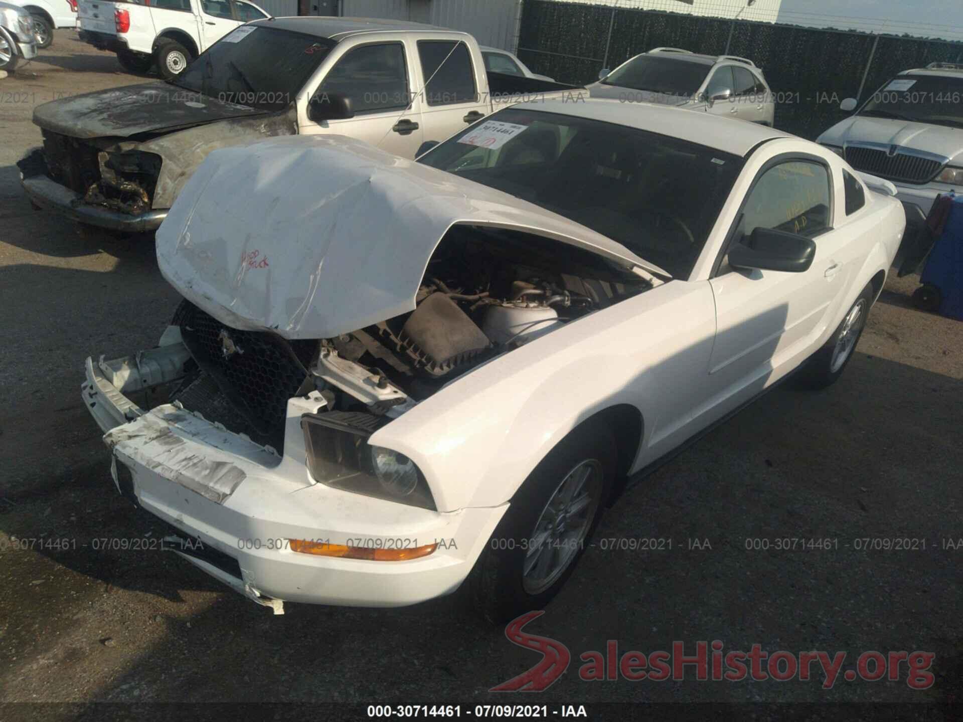 3N1CE2CP7JL366435 2006 FORD MUSTANG